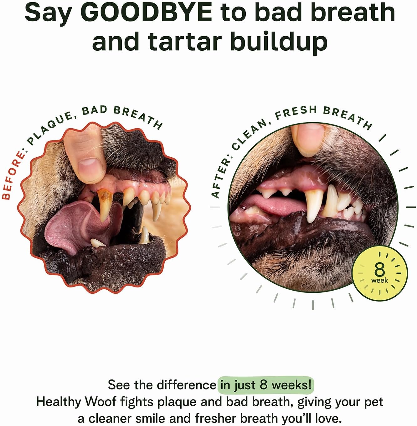 Dental Powder for Dogs - Complete Oral Care Bone Broth, Dog Teeth Cleaning Powder,60 Scoops