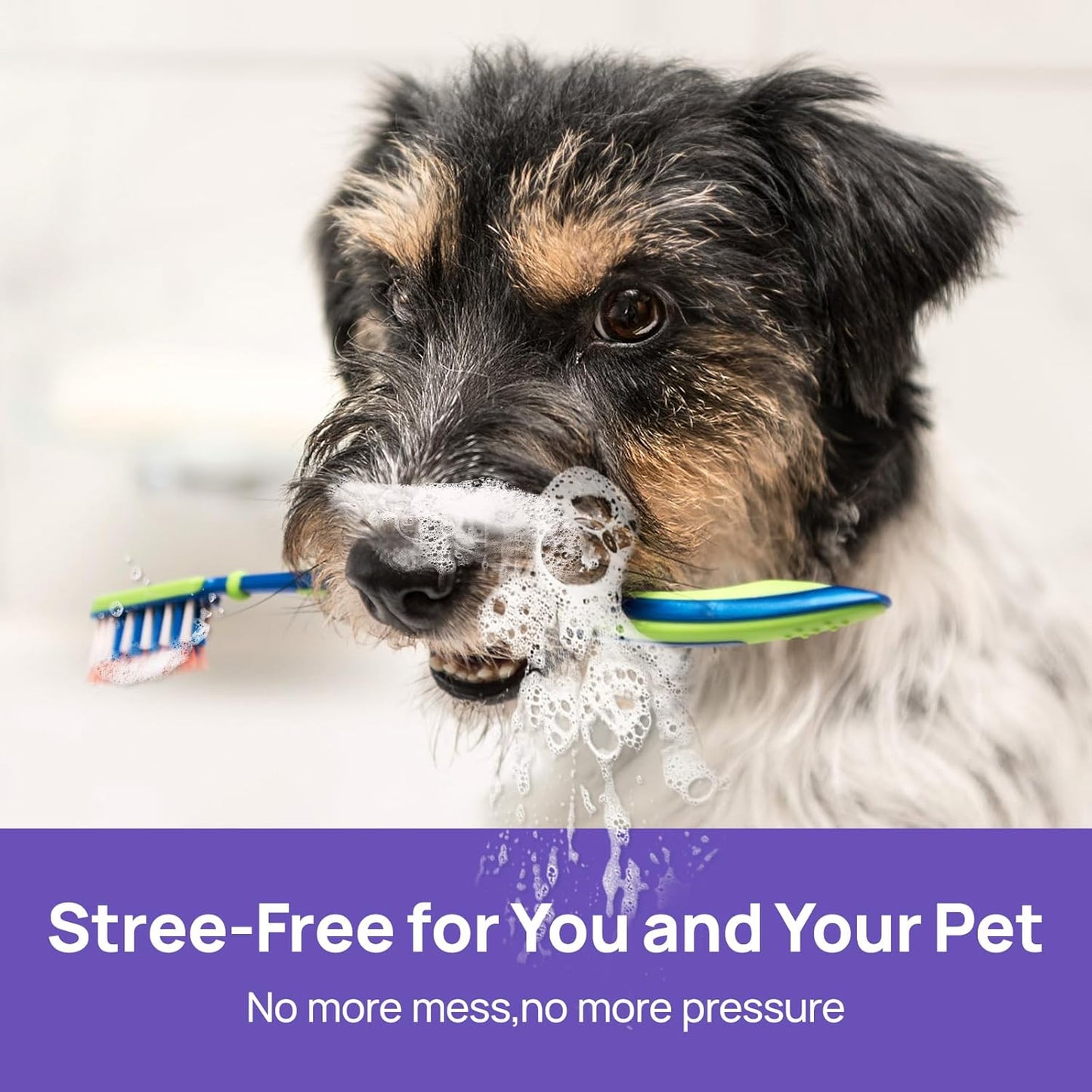 HICC PET Dog Dental Care Spray, Dog Breath Freshener