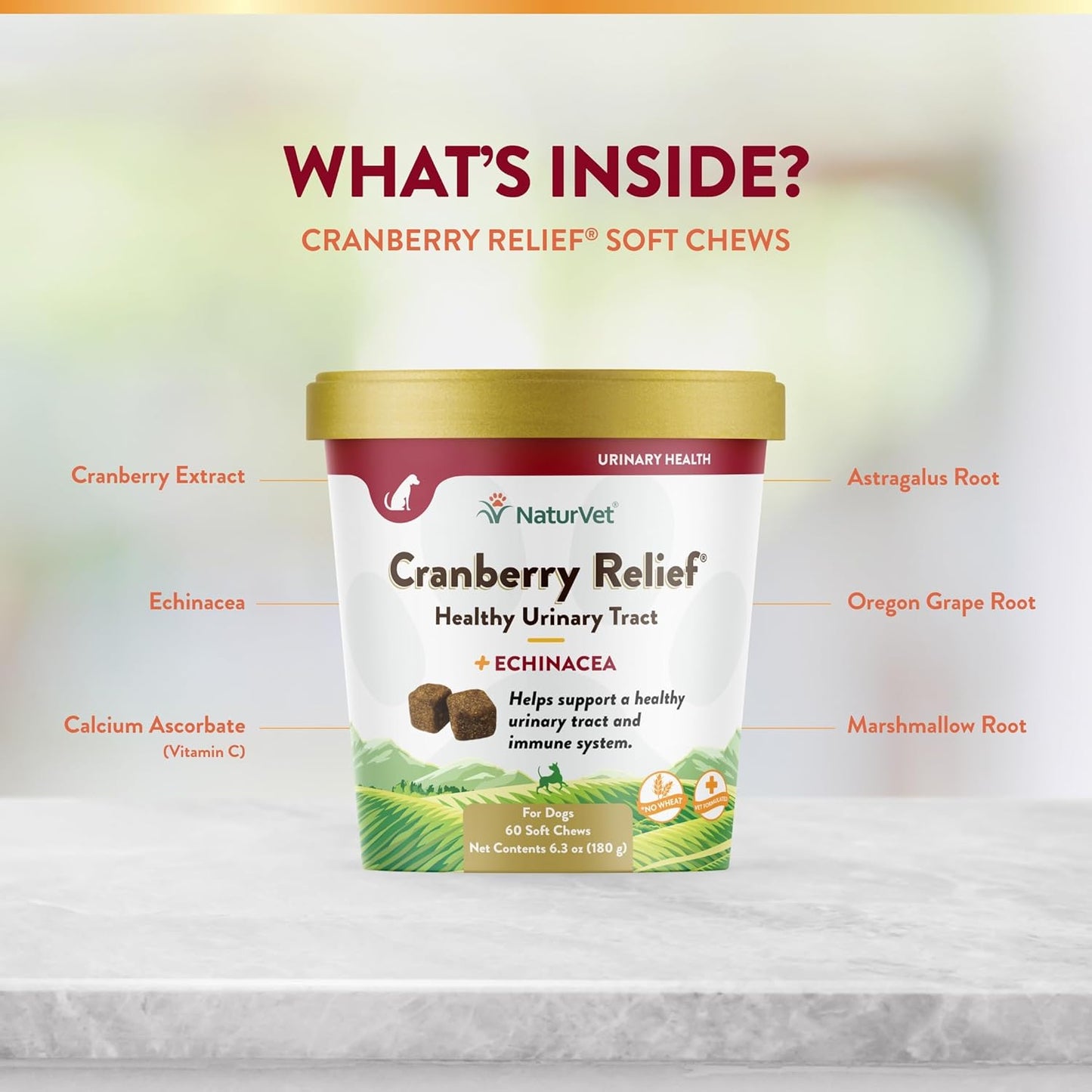 NaturVet CRANBERRY RELIEF + Echinacea Soft Chew Dogs Urinary Tract (CUP) - 60 ct