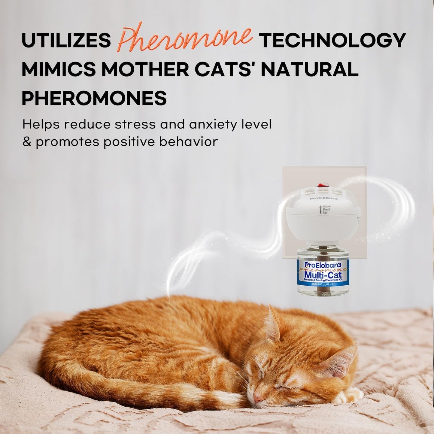 Cat Calming Pheromone Diffuser: Cat Calming Pheromones Diffusers