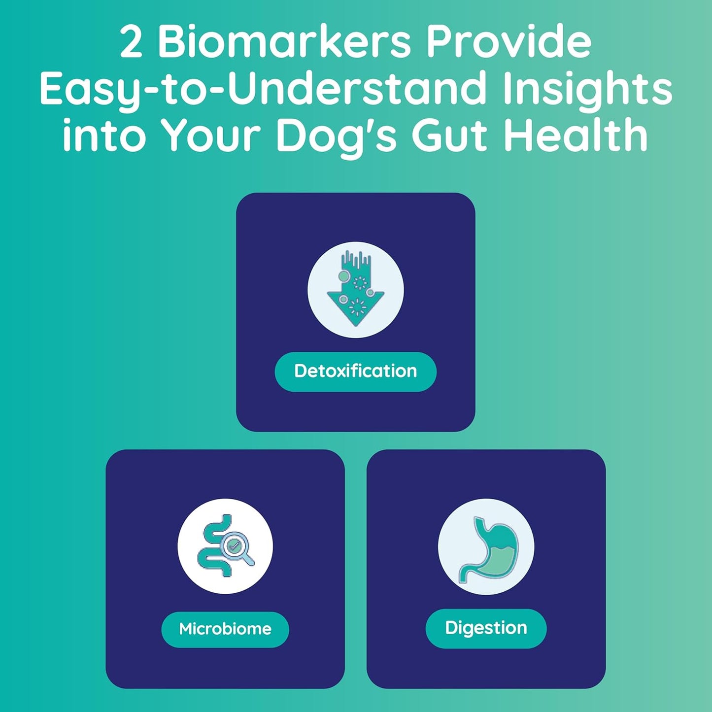 Dog Digestion & Detox Gut Test Kit – for Weight Loss, Gas, Bad Breath for Digestive & Microbiome Analysis - Non-Invasive & Fast Results – Vet Trusted - Easy at-Home Stool Test