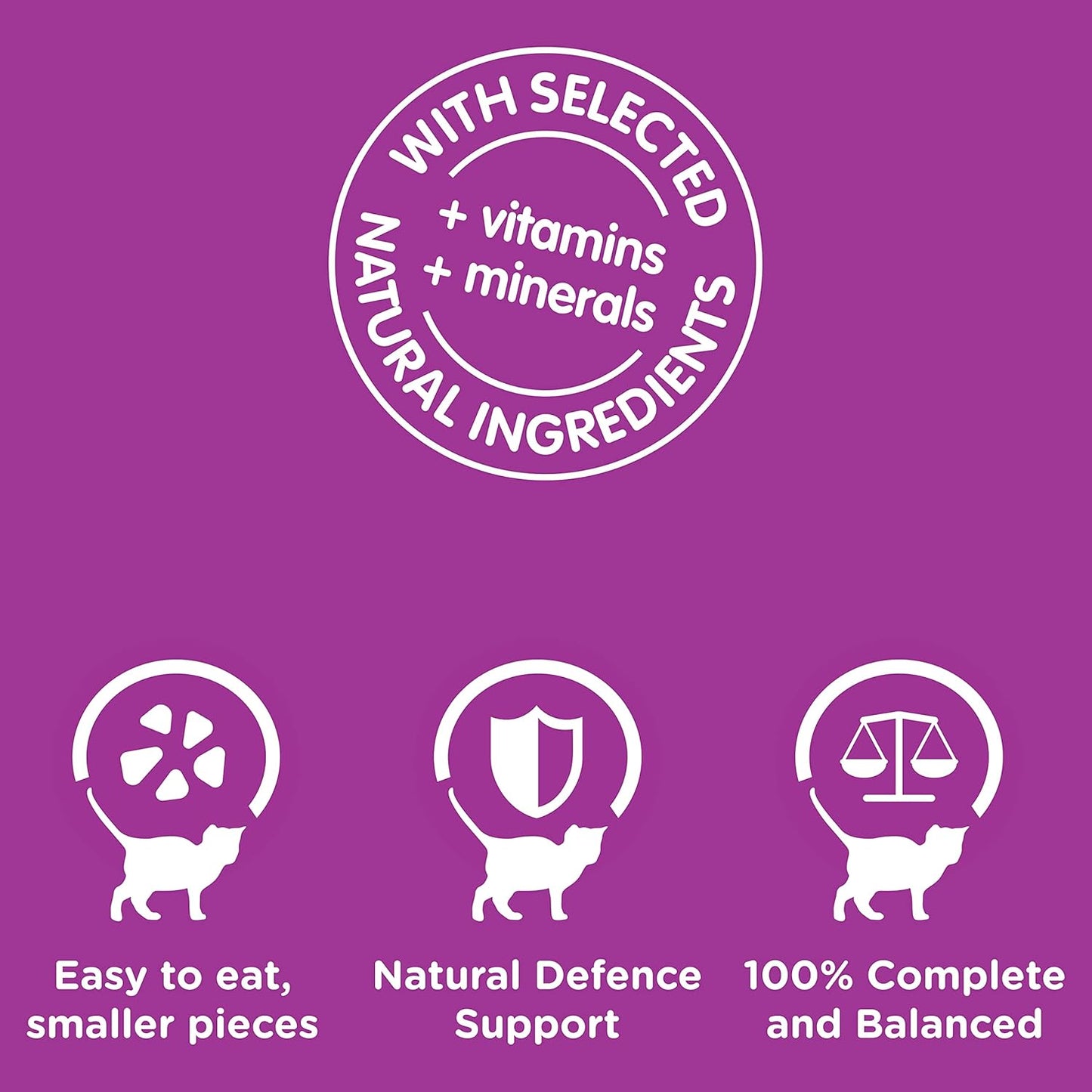 WHISKAS Kitten 2-12 Months Wet Cat Food with Mixed Favourites in Jelly 12 x 85g, 5 Pack (60 Pouches)