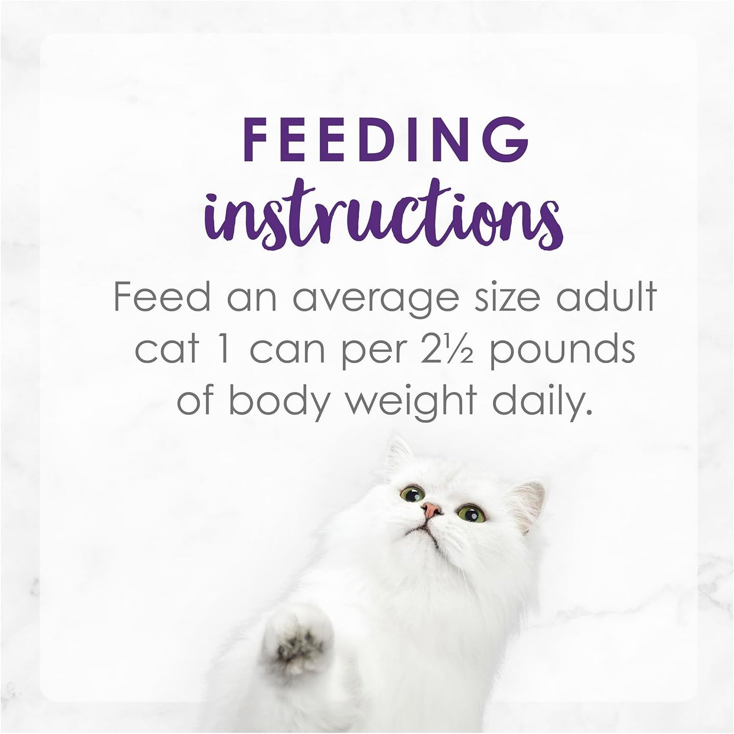 FANCY FEAST Delights With Cheddar Adult Wet Cat Food 24x85g