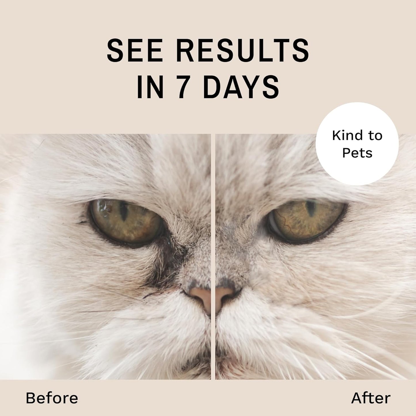 Eye Envy Cat Tear Stain Remover Starter Kit with ProPowder Brush