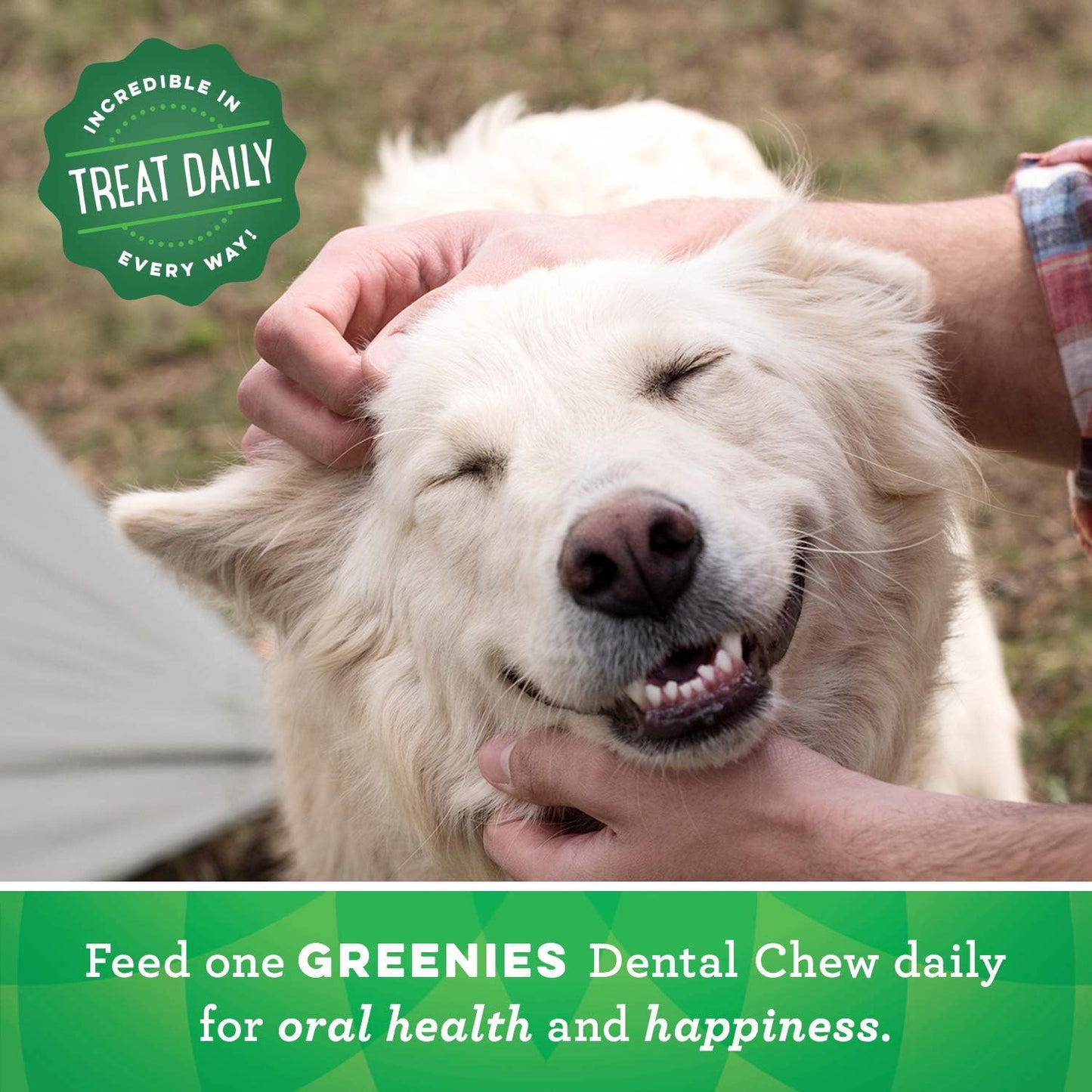 Greenies Original Teenie Dental Dog Treat 340 g