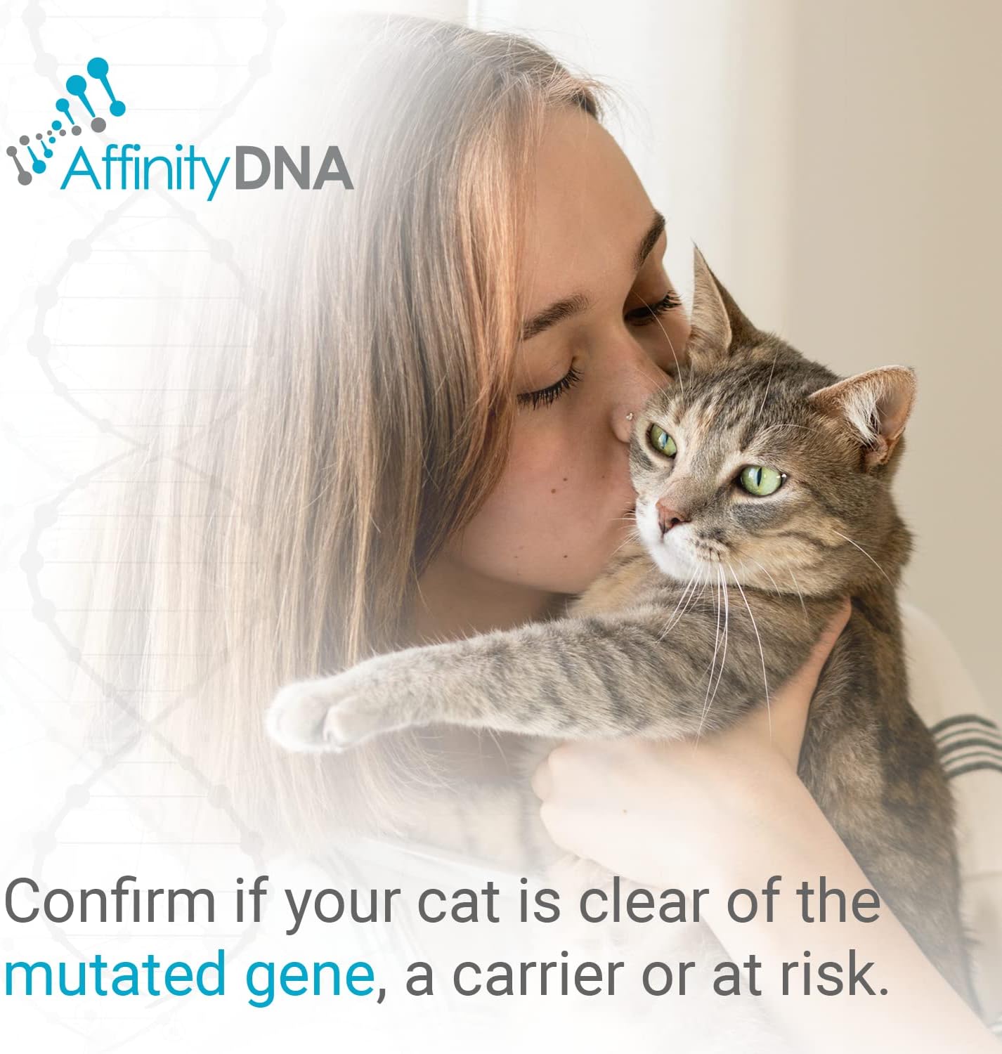 PKD DNA Test for Cats | Home Sample Collection Kit for 1 Feline | Polycystic Kidney Disease Testing | | Just Swab & Send a DNA Sample | Get Your Report in Just 12 Working Days