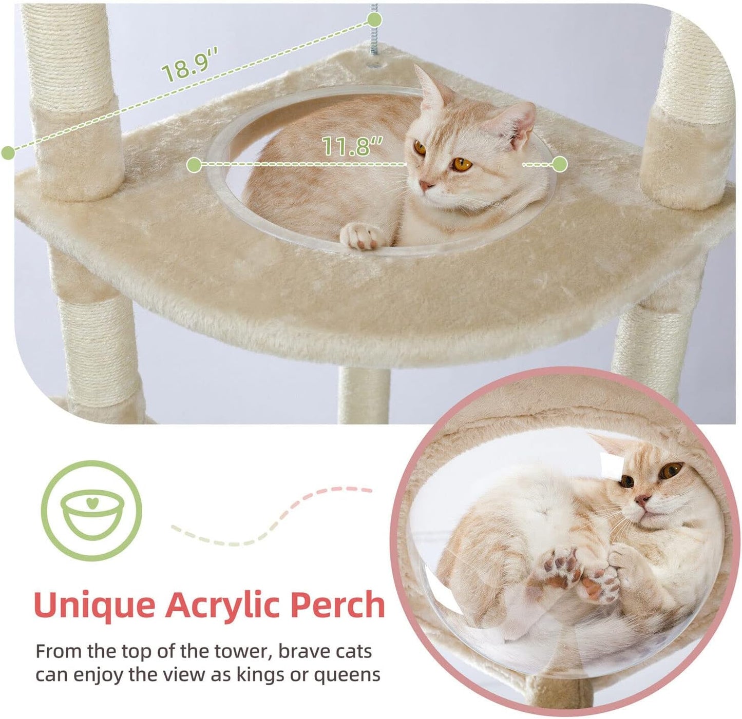 PAWZ Road Large Cat Tree Floor to Ceiling Cat Tower with a Cozy Condo, 6-Tier Cat Climbing Activity Center with Perch and Hammock for Adult Cats Beige