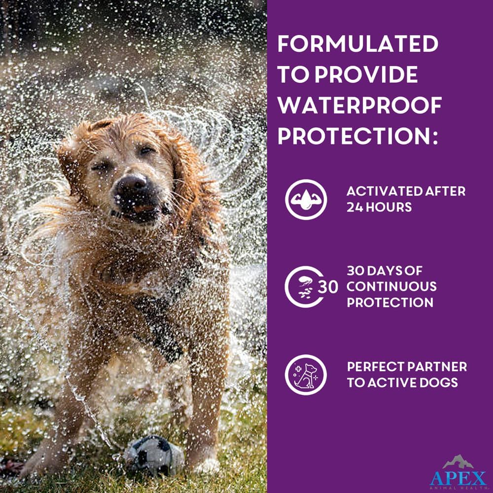 Apex Plus Flea and Tick Prevention for Dogs | Large (45-88 lbs) | 6-Month Supply |