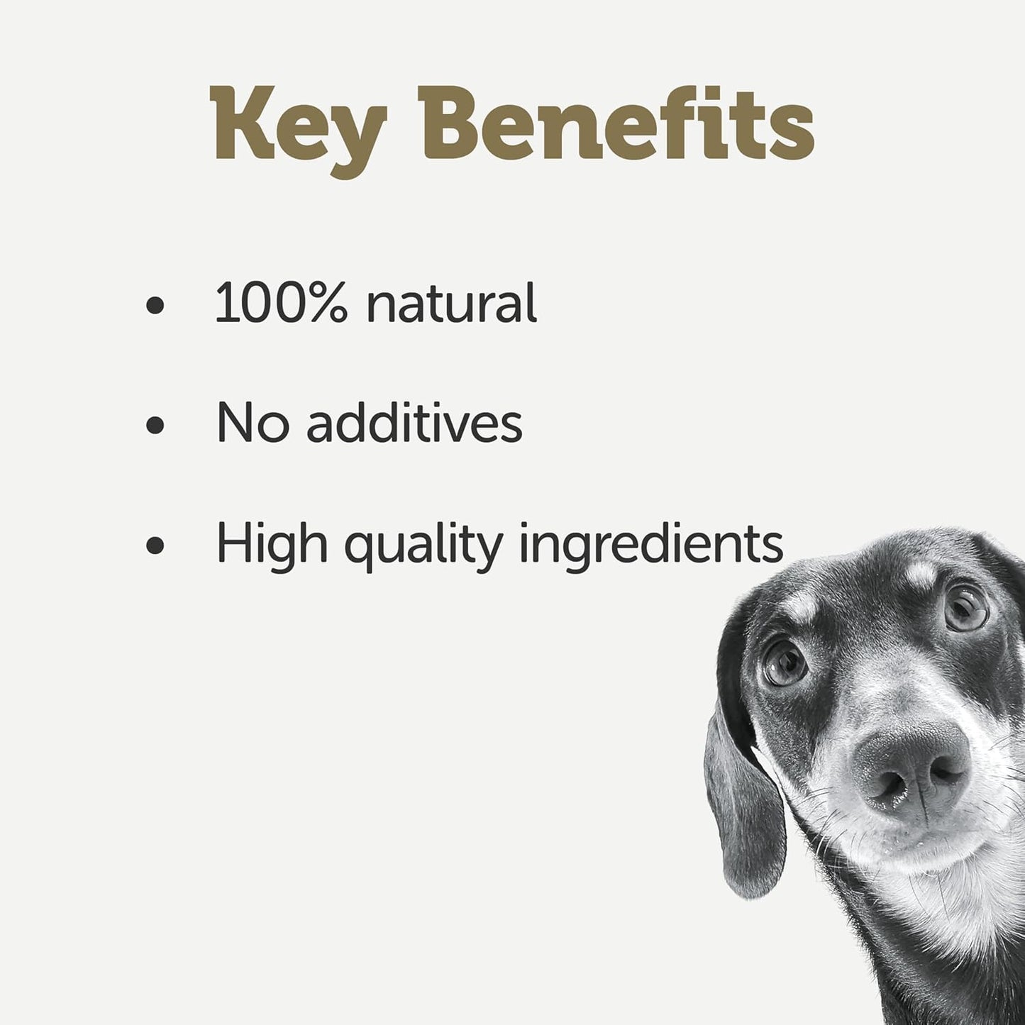 Applaws Taste Toppers 100% Natural Wet Dog Food Chicken Breast with Salmon & Vegetables in Broth Tin 156g (Pack of 16), Limited Ingredients Pet Food