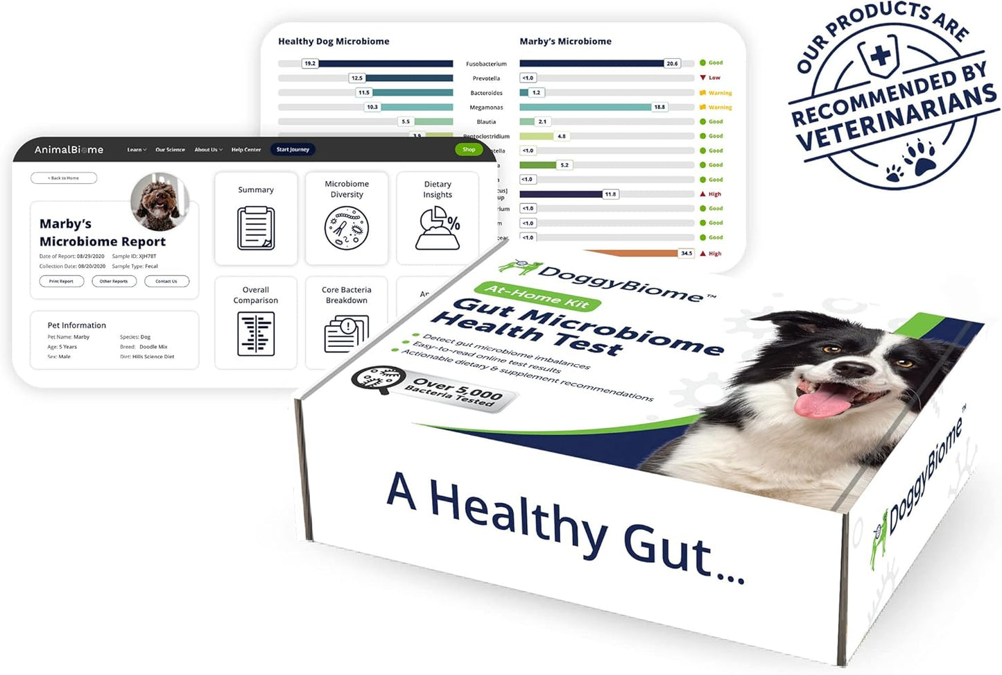 Dog Probiotics Test Kit - Gut Microbiome Health Test - DoggyBiome
