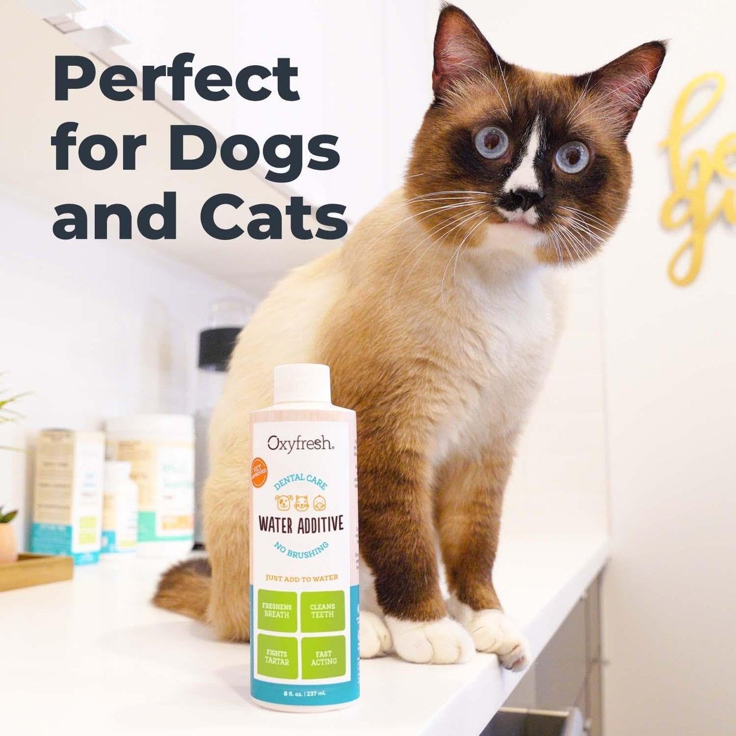 Oxyfresh Premium Pet Dental Care Solution 16 oz.