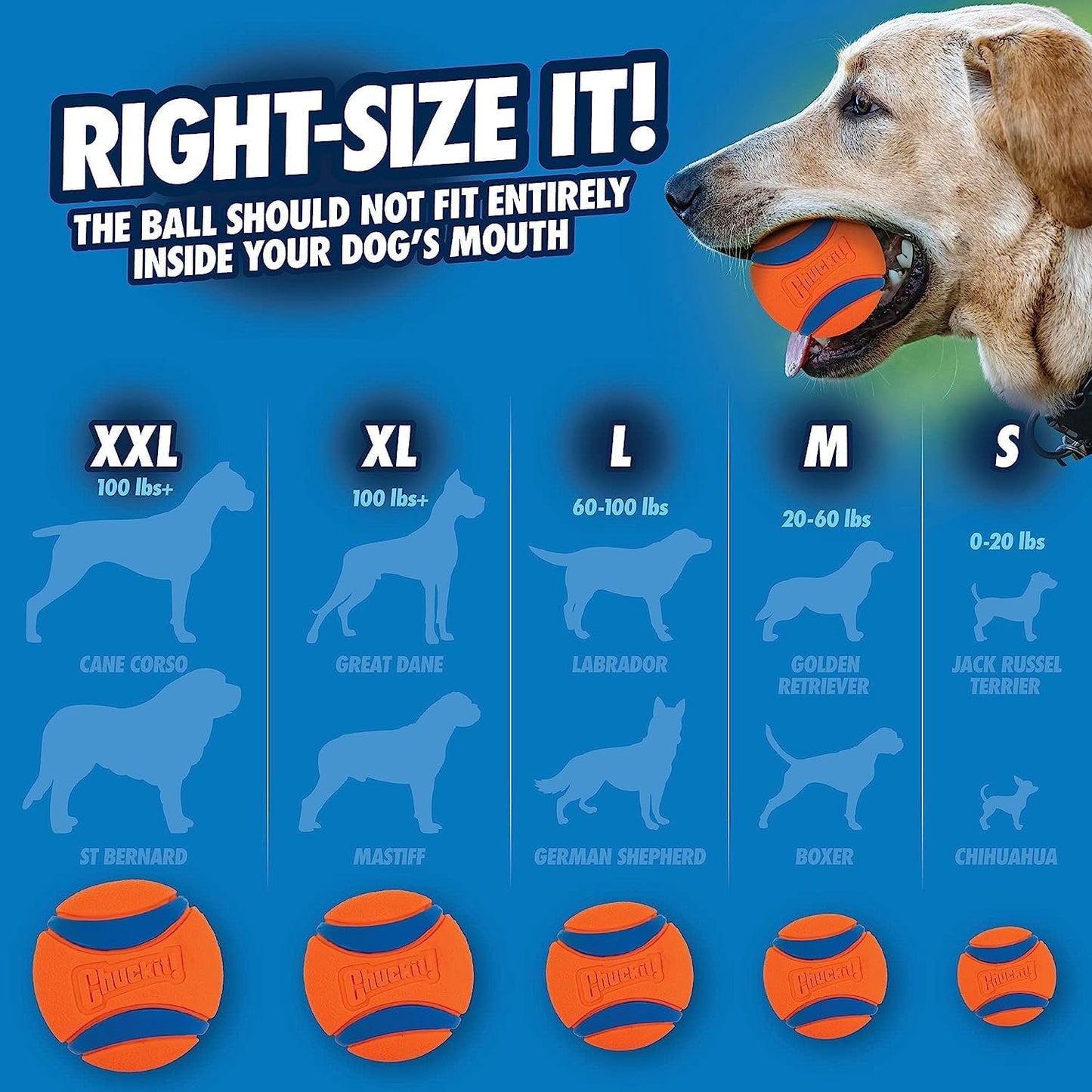 Chuckit! Ultra Duo Dog Tug Toy, Small Indoor and Outdoor Dog Toy