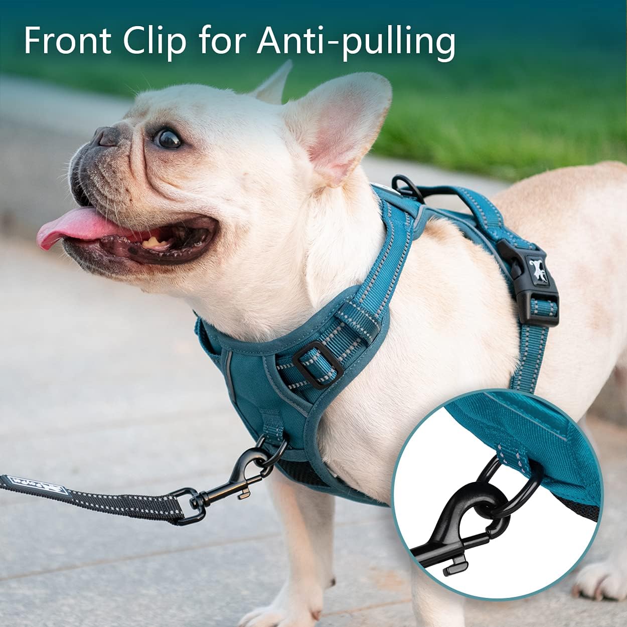 PoyPet No Pull Dog Harness, No Choke Reflective Dog Vest (Tumalo Teal,S)