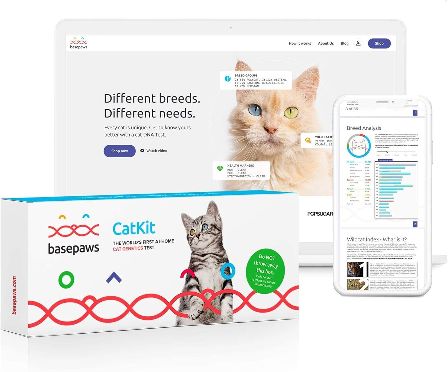Basepaws Cat DNA Test Kit - Comprehensive Breed, Health and Dental Analysis Across 114 Traits for Accurate and Easy-to-Use Genetic Insights