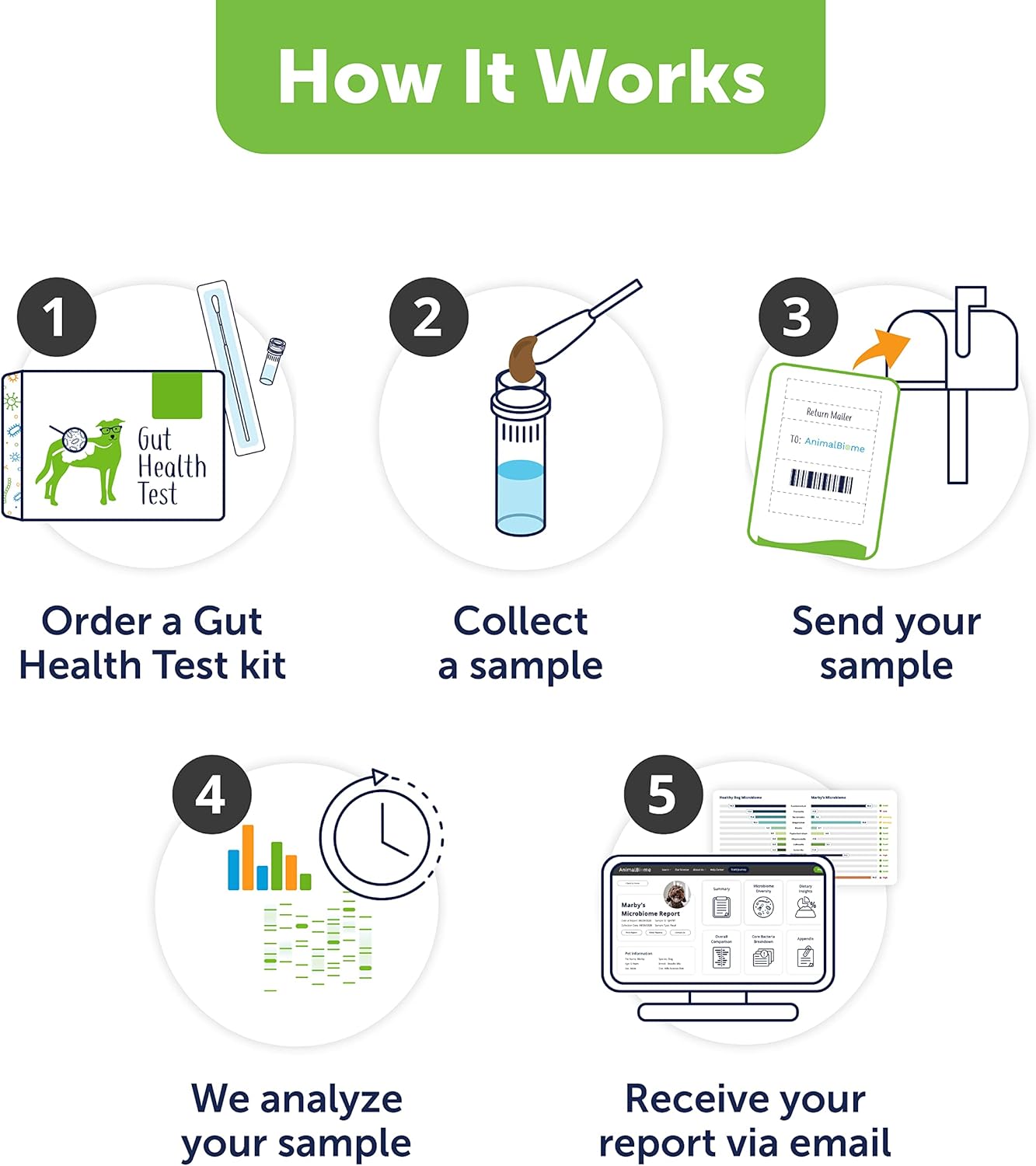 Dog Probiotics Test Kit - Gut Microbiome Health Test - DoggyBiome
