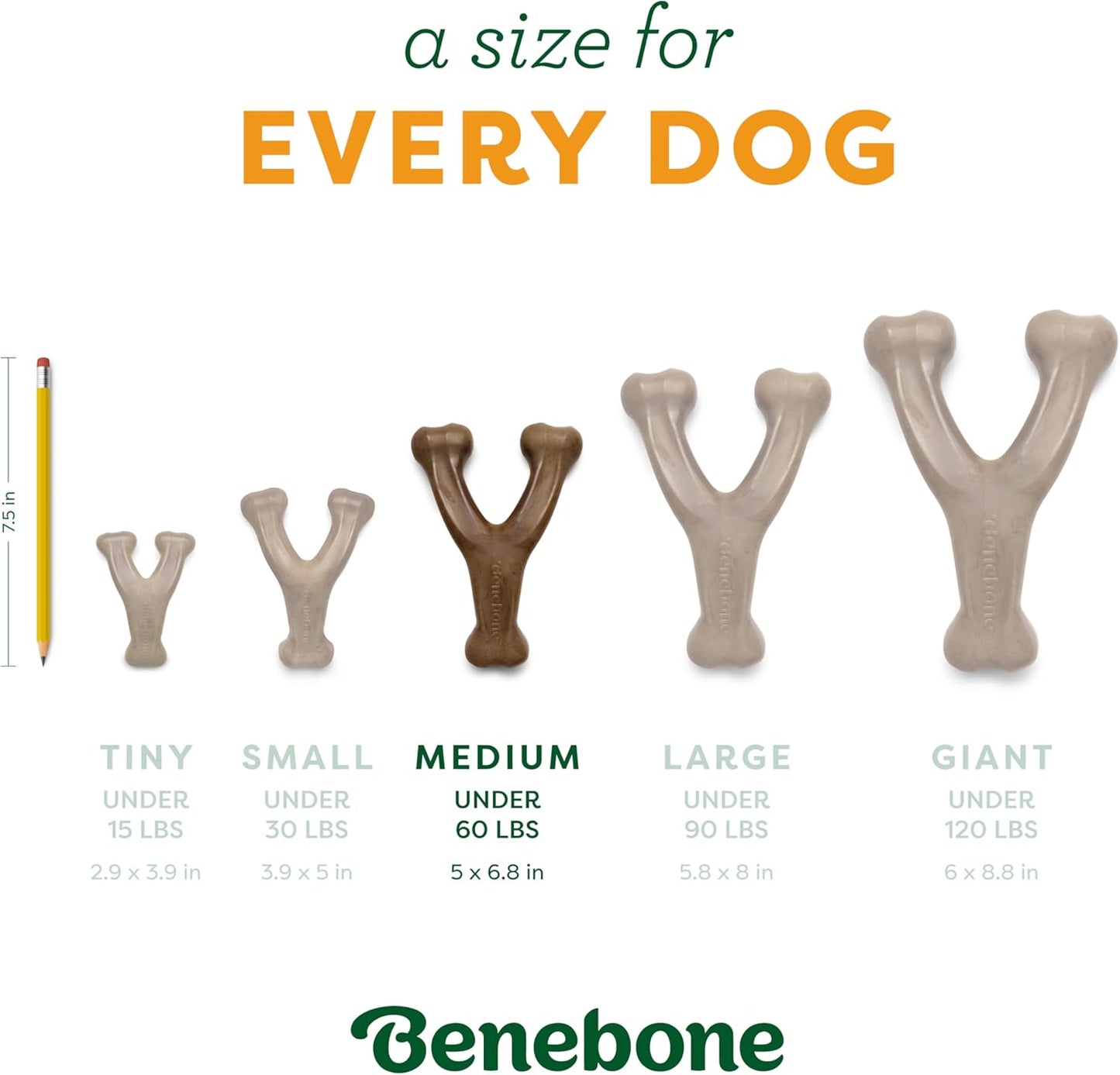 Benebone Pumpkin Spice Wishbone – Limited Edition Flavor, Durable Dog Chew Toy for Aggressive Chewers, Made in USA, Medium