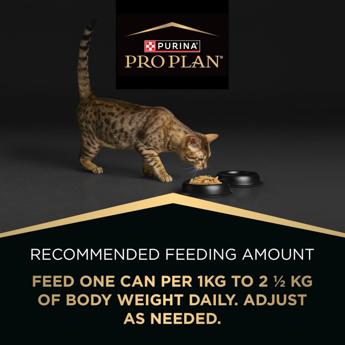 PRO PLAN Kitten Wet Cat Food Chicken in Jelly 12x85g