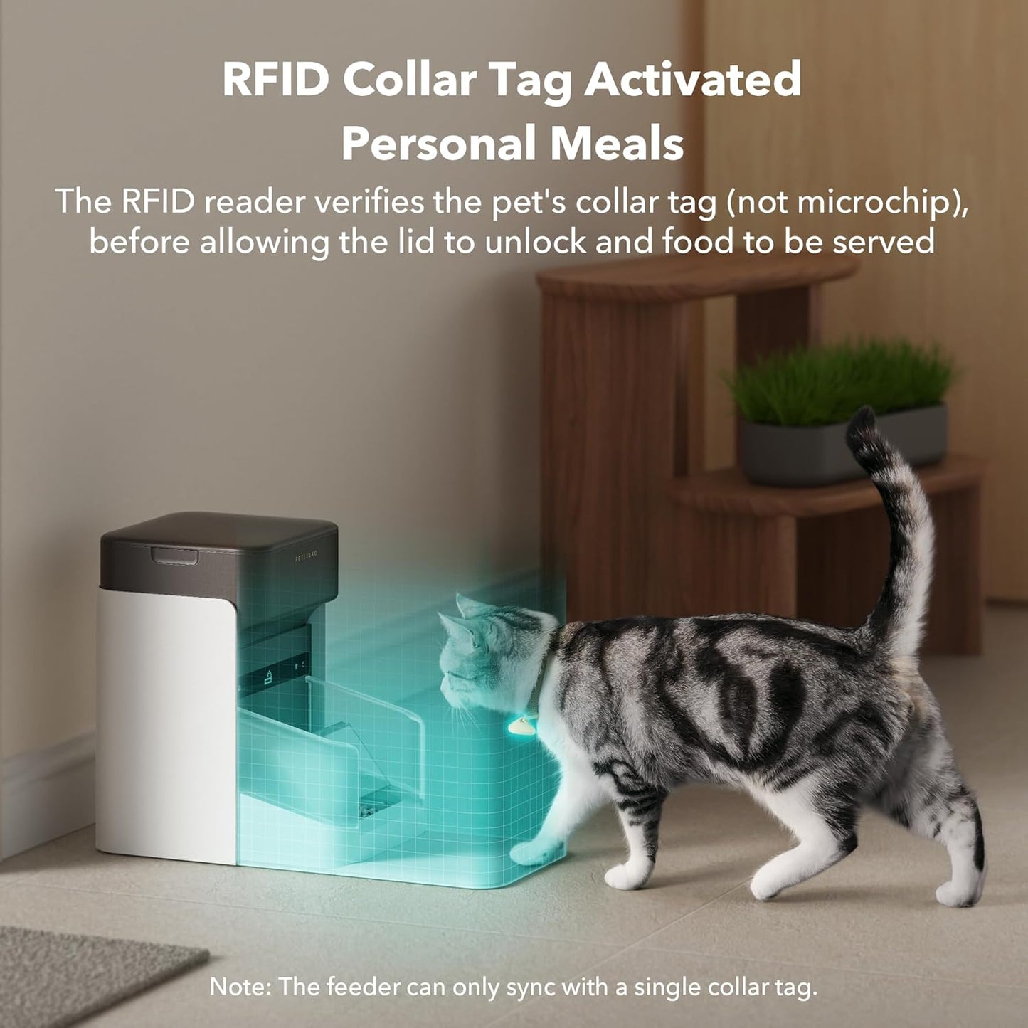 PETLIBRO Collar Tag, Replacement Label, No Charging Required, Compatible with RFID Smart Devices PLAF301 & PLWF305, Single Pack