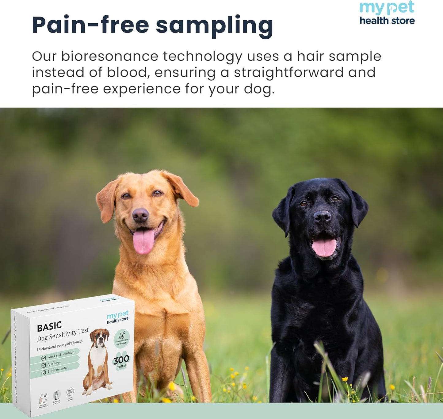 Sensitivity Test - Home Dog Sensitivity Test | 300 Items Checked | Fast 3-5 Day Results | Painless Hair Sample Method | Food, Environment & Additives Analysis
