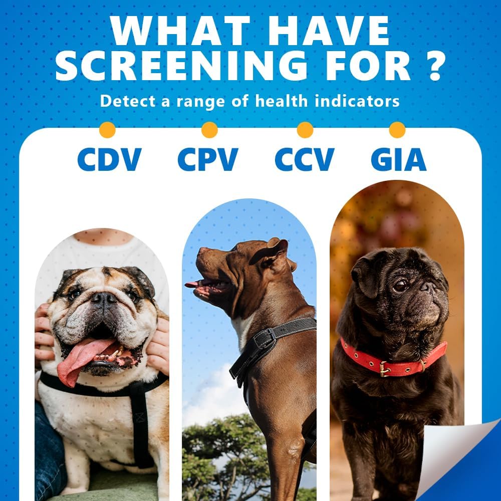 Canine/Dog HealthCheck 4-in-1 Test Kit ,Reliable Detection of Common Canine Illnesses