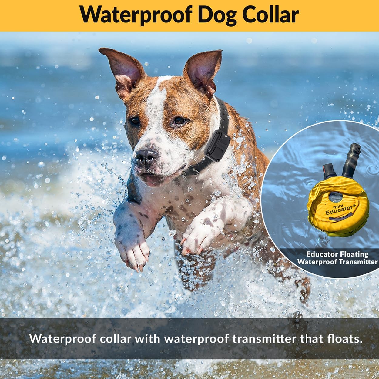 E-Collar – Educator ET-300-1/2 Mile Waterproof Remote Dog Training Collar Includes Premium Finger Clicker Trainer