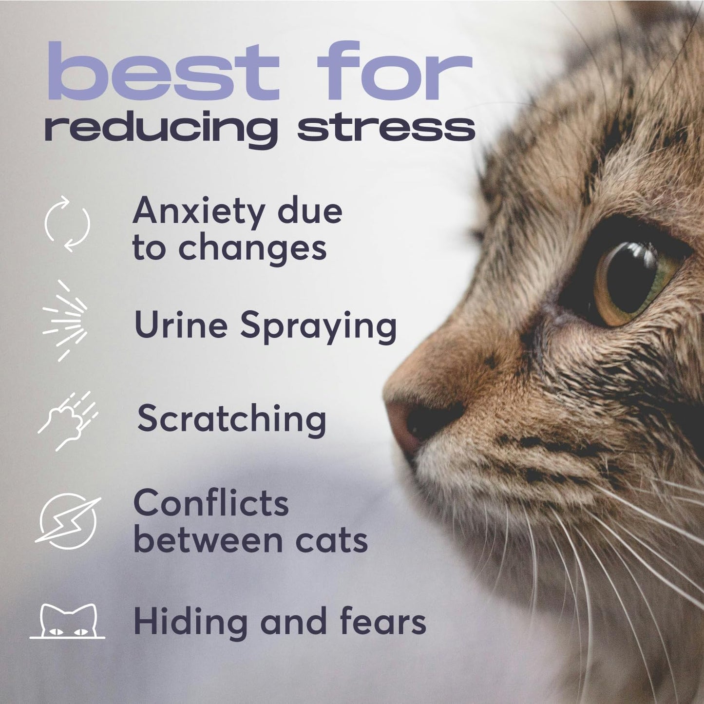 Cat Calming Diffuser Refills – Long-Lasting 30-Day Formula with Pheromones for Stress Relief– (3 Diffusers + 3 Refills)