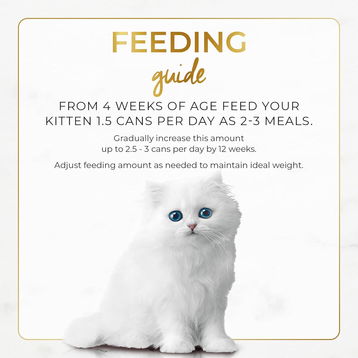 Fancy Feast Classic Paté Kitten Wet Cat Foood Tender Chicken Feast 24x85g
