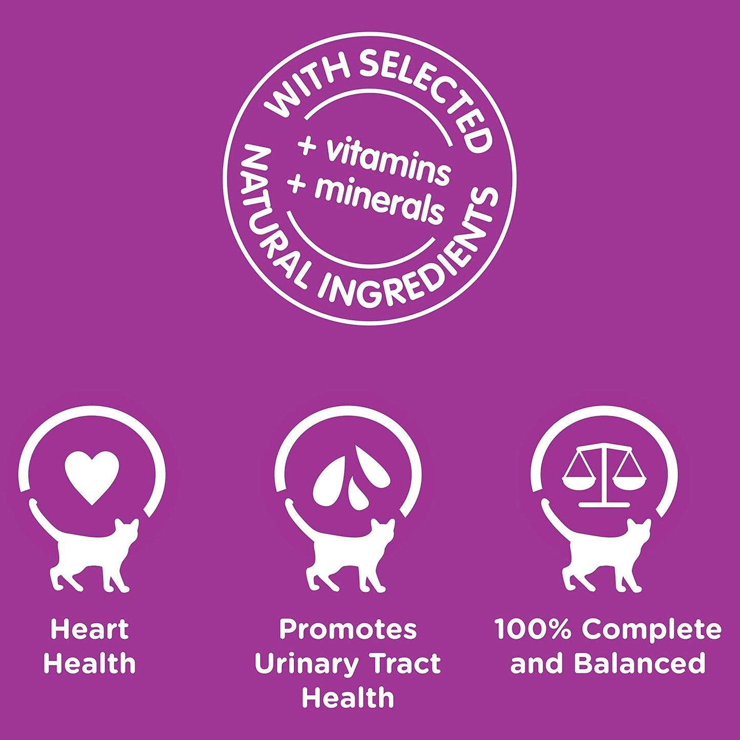 WHISKAS 7+ Years Wet Cat Food with Mixed Favourites in Jelly 12 x 85g, 5 Pack (60 Pouches)