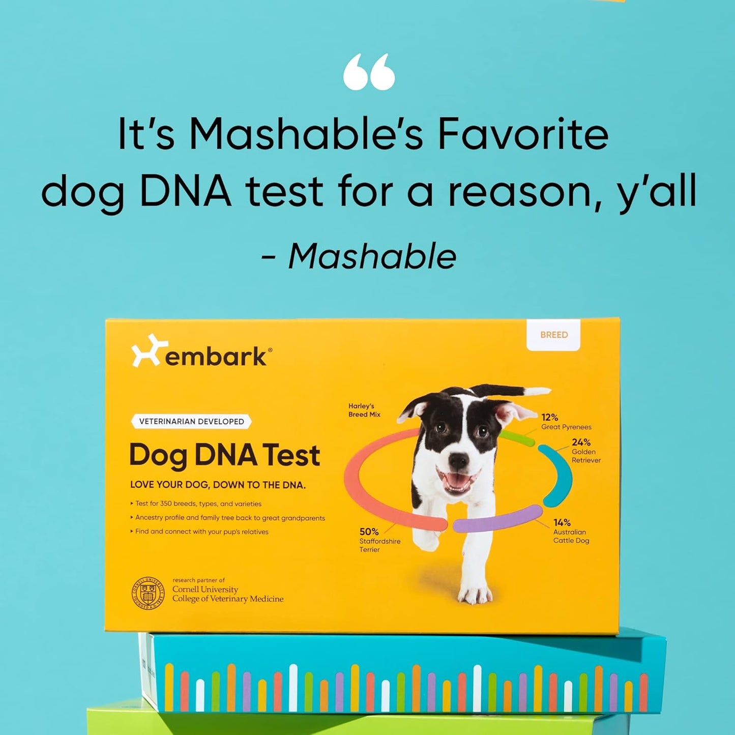 Embark Breed Identification Kit - Most Accurate Dog DNA Testing Kit
