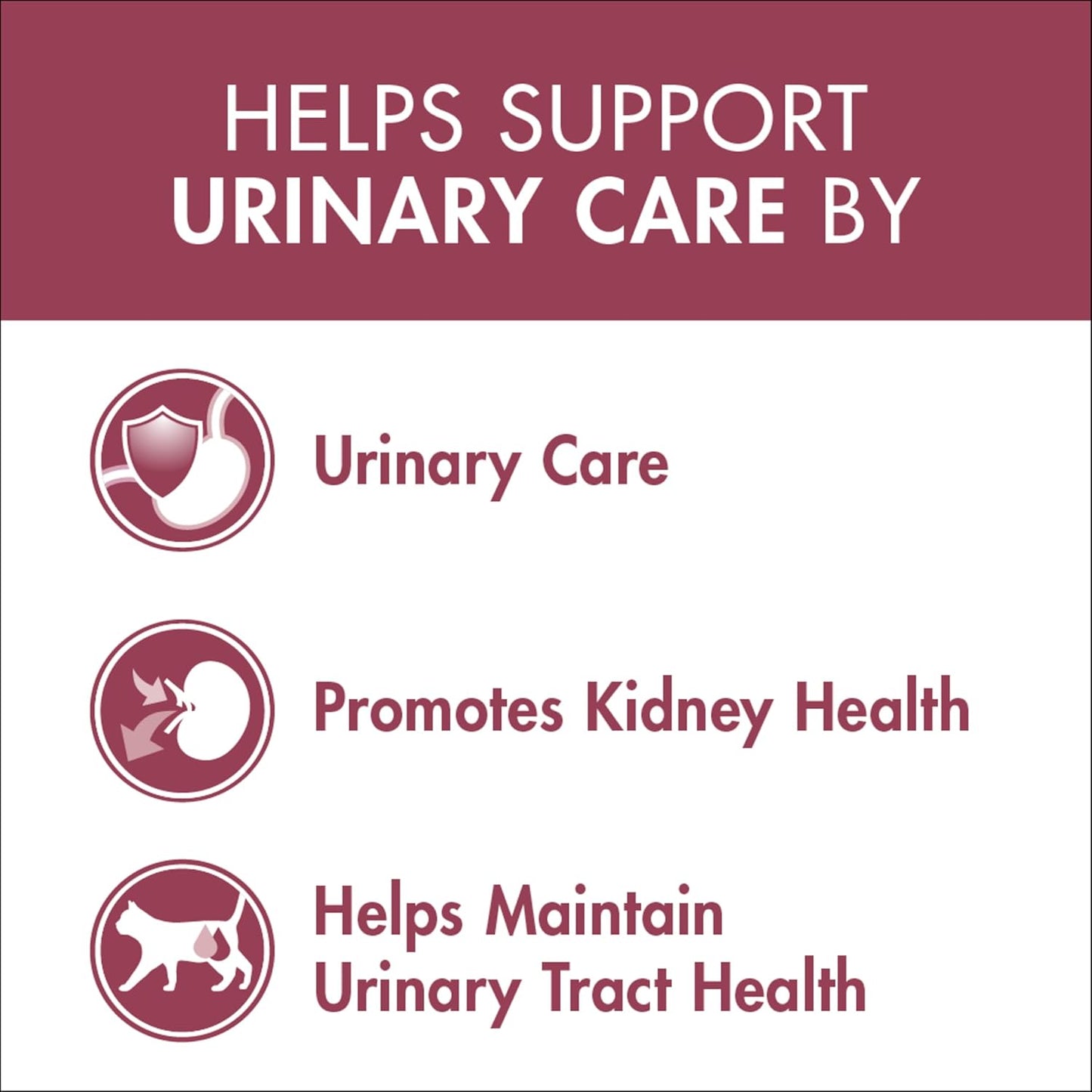 PURINA ONE Adult Dry Cat Food Urinary Care Chicken 1.4kg