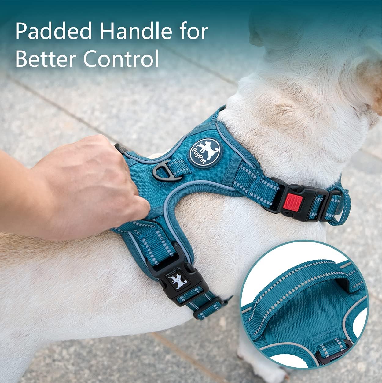 PoyPet No Pull Dog Harness, No Choke Reflective Dog Vest (Tumalo Teal,S)