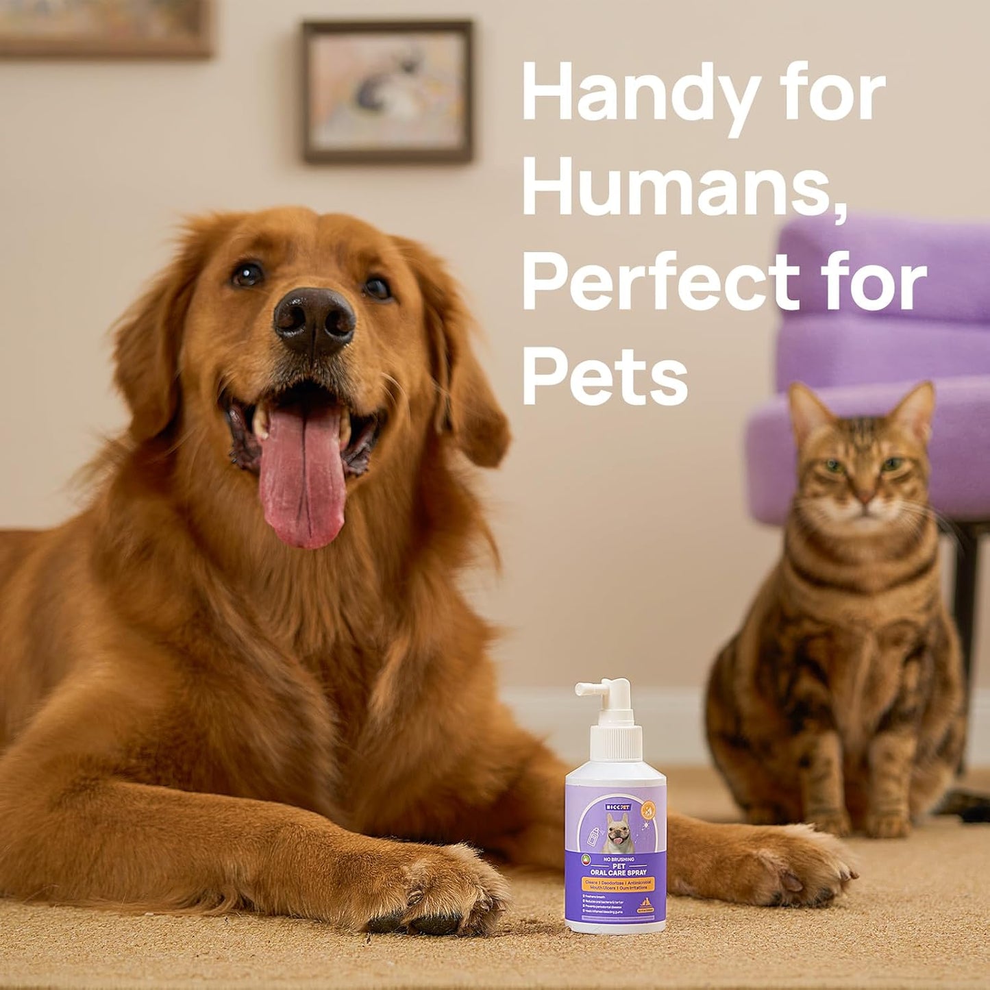 HICC PET Dog Dental Care Spray, Dog Breath Freshener