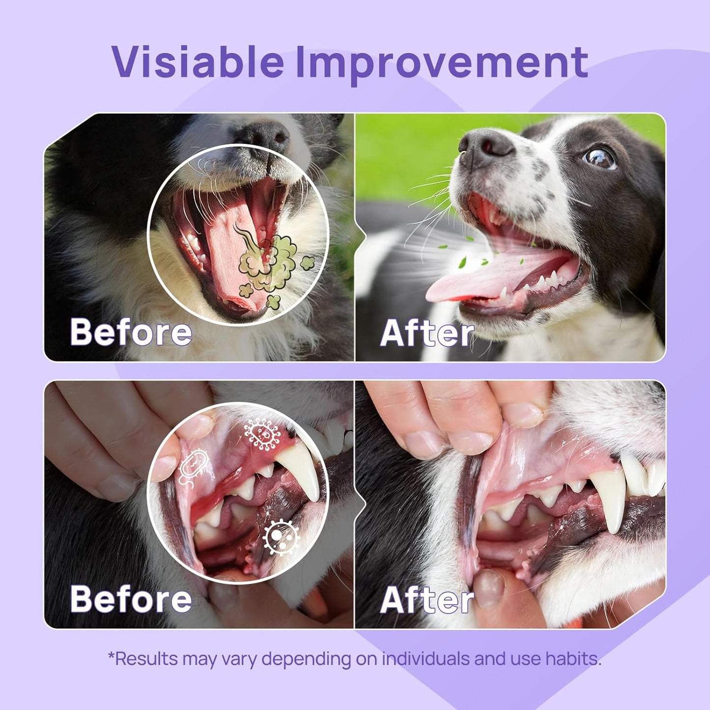 HICC PET Dog Dental Care Spray, Dog Breath Freshener