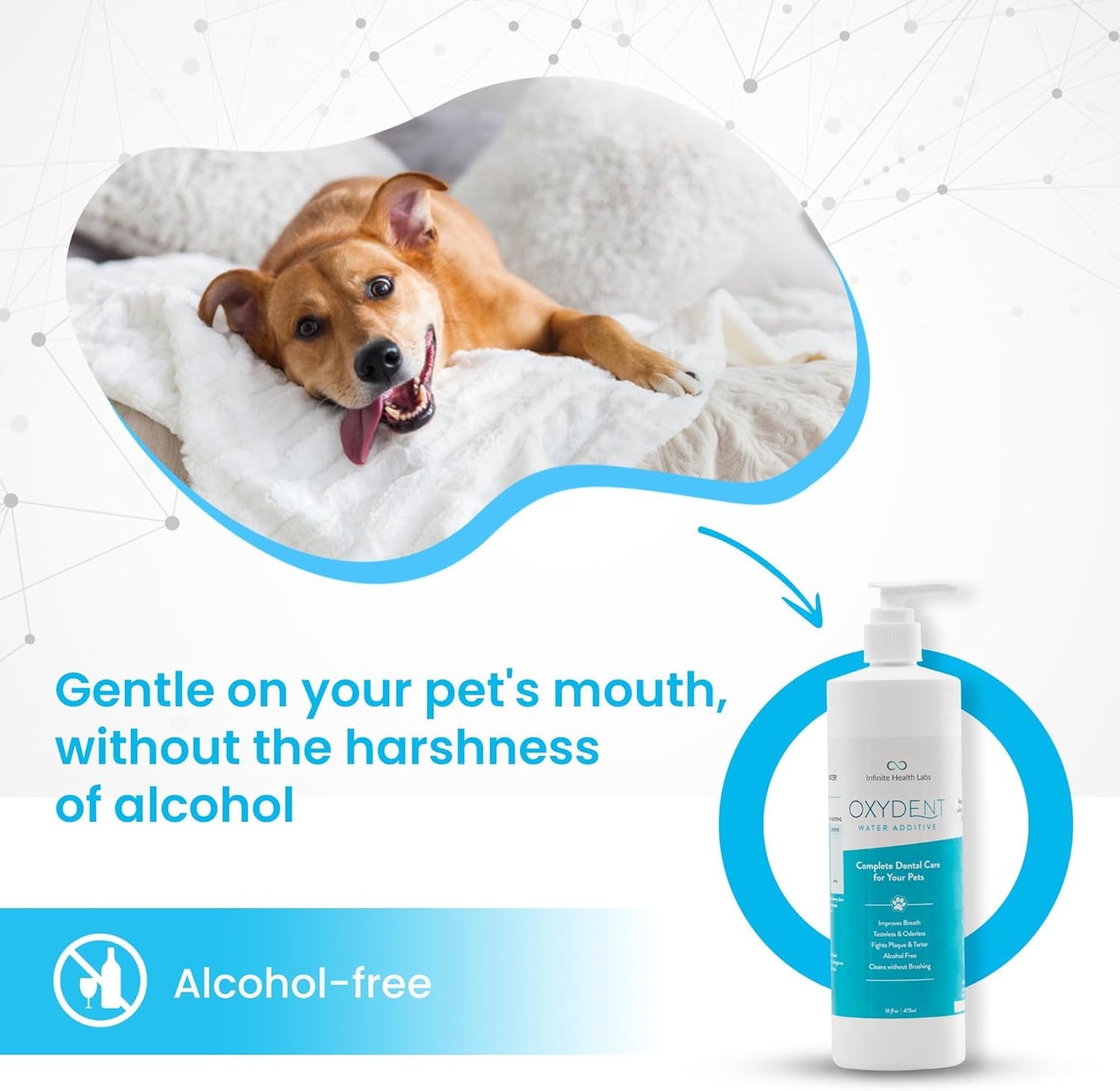 Oxydent Premium Pet Dental Care Solution