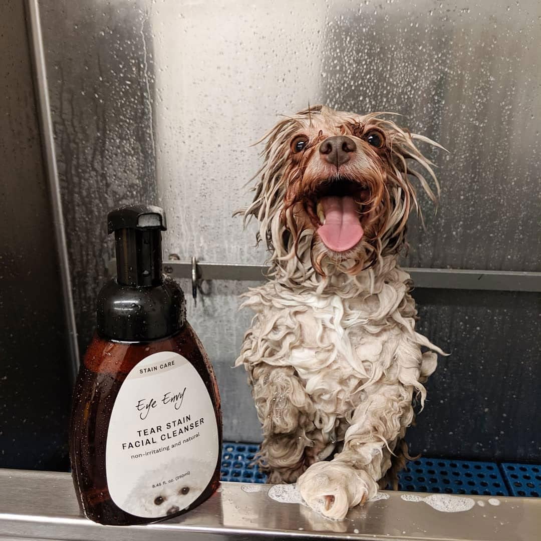 Eye Envy Tear Stain Facial Cleanser for Dogs and Cats (8.45 Fl Oz)