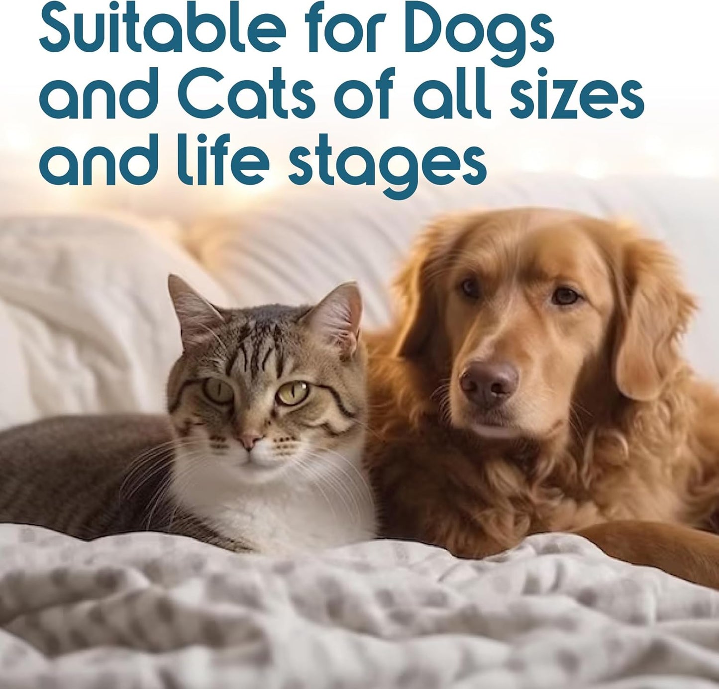 Recommended by Veterinarians Because it Simply Works Better