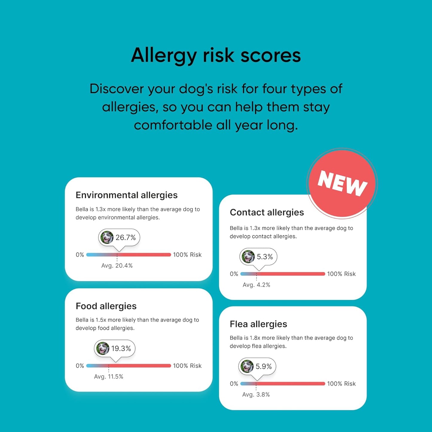 Embark Breed & Health Kit - Dog DNA Test - Discover Breed, Ancestry, Relative Finder, Genetic Health, Traits, Allergy Risk Scores