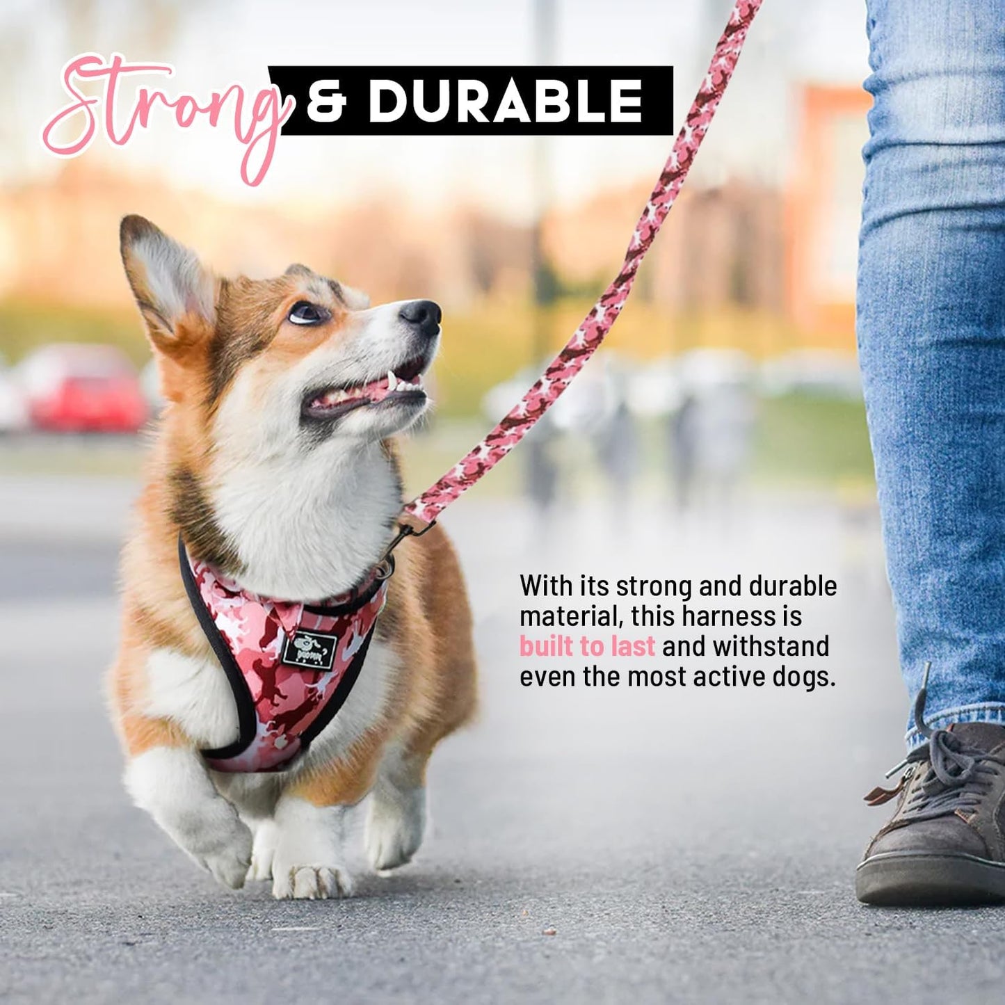 Premium Dog Harness Set with Leash, Collar & Poop Bag Holder - Reflective-small