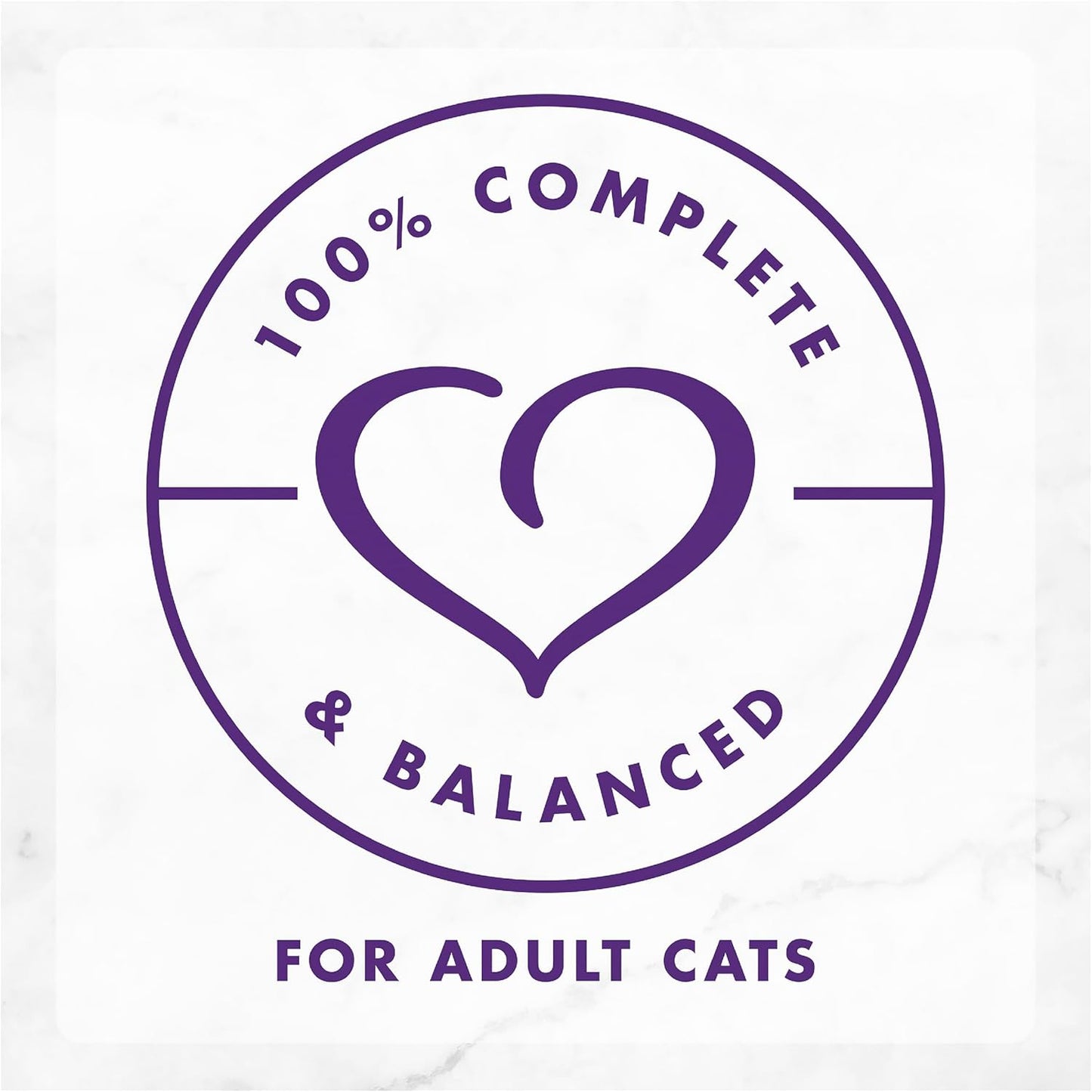 FANCY FEAST Delights With Cheddar Adult Wet Cat Food 24x85g