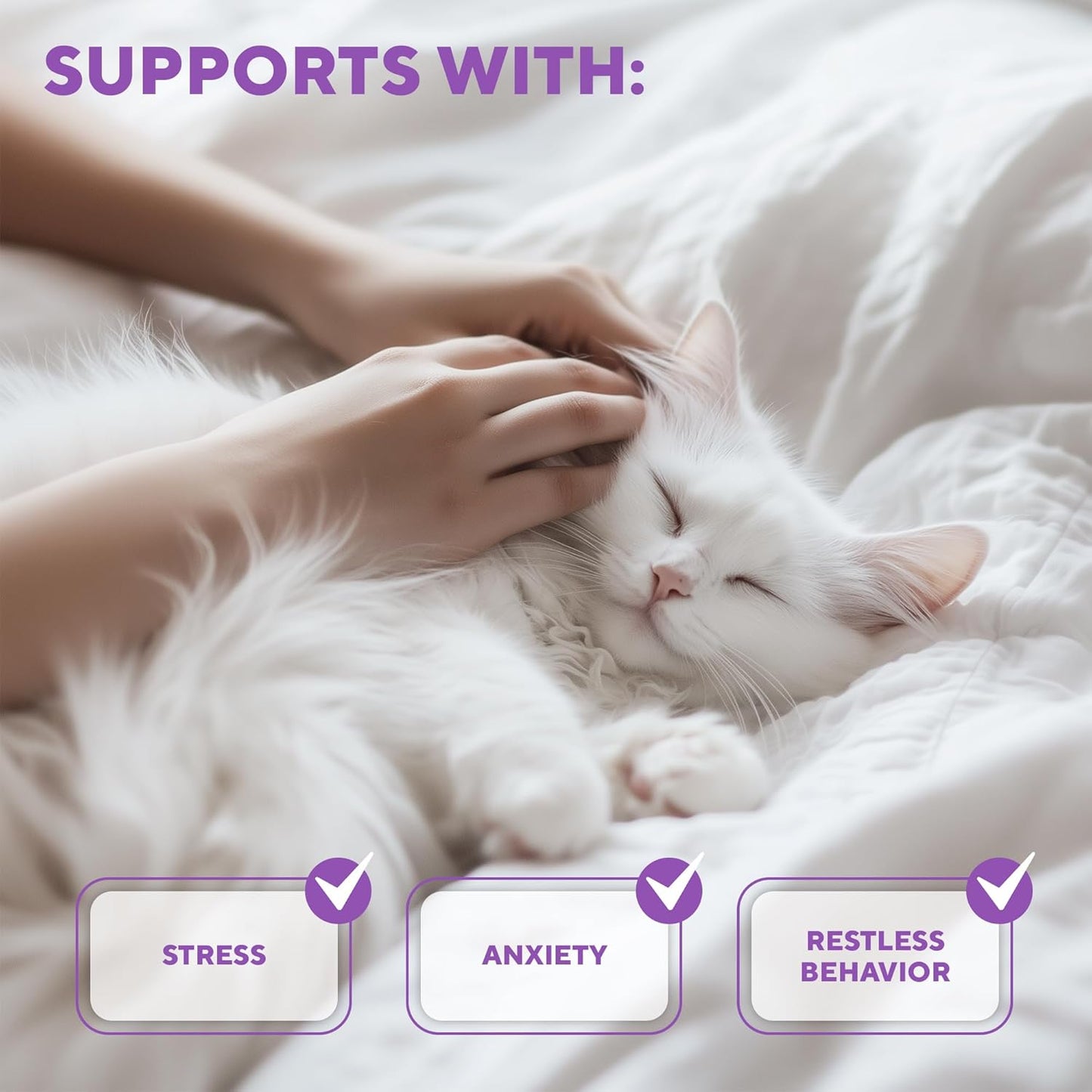 Calming Pheromone Spray & Scratch Repellent for Cats