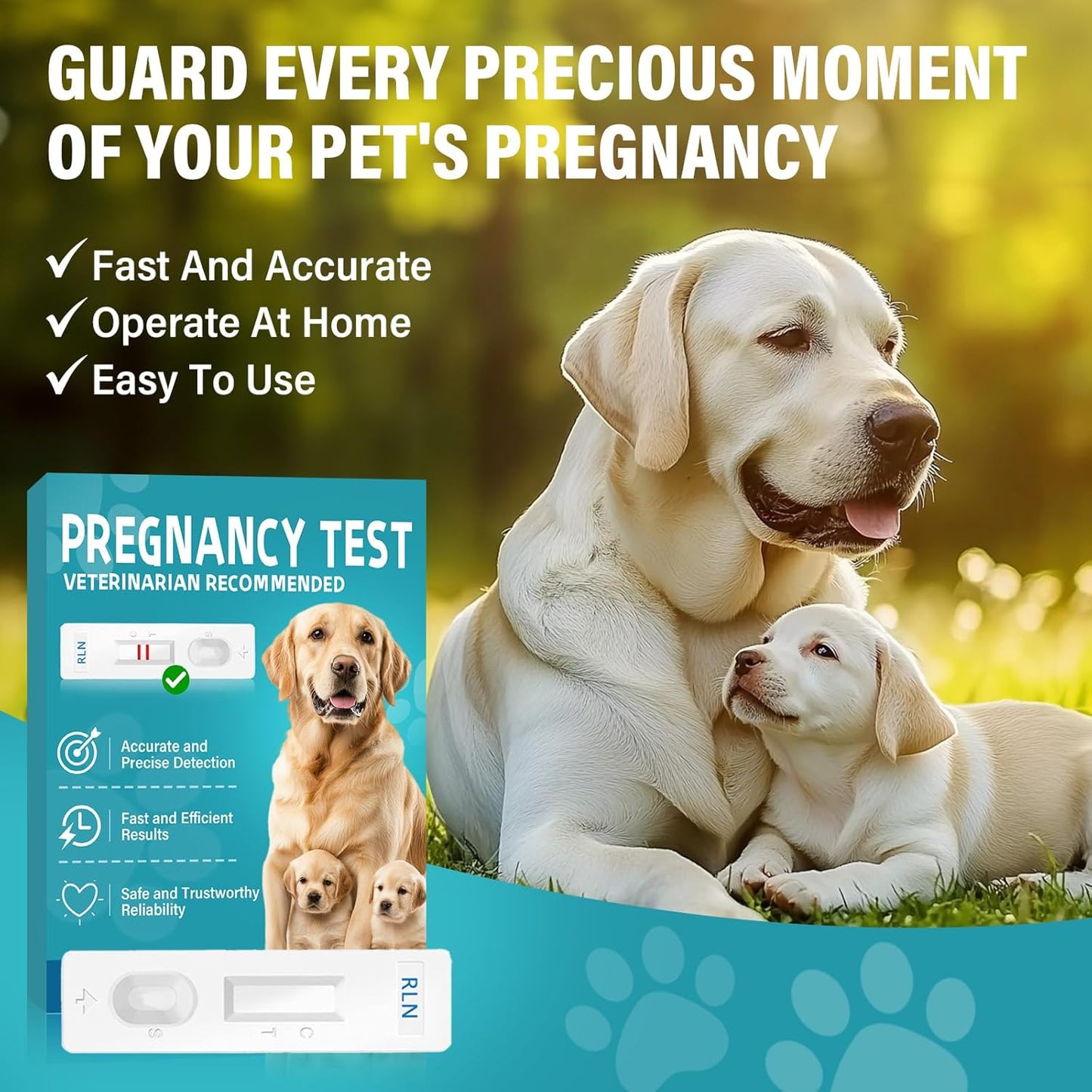 Dog Pregnancy Test, Pet Pregnancy Supplies at Home, 10-15 Mins Accurate and Fast Detection, 99.9% Accurate & Simple Operation
