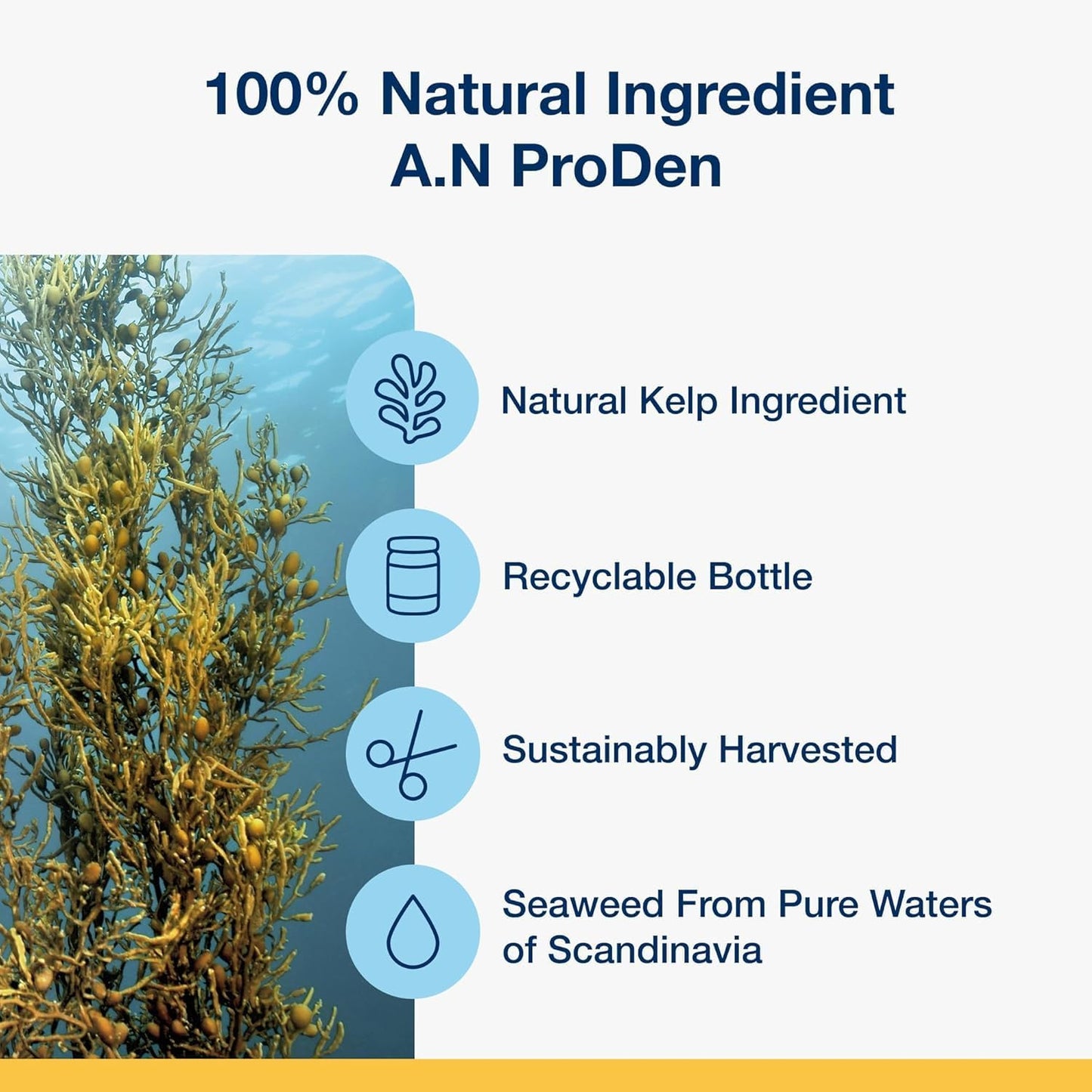ProDen PlaqueOff Powder – Supports Normal, Healthy Teeth, Gums, and Breath Odor in Pets – 420 g