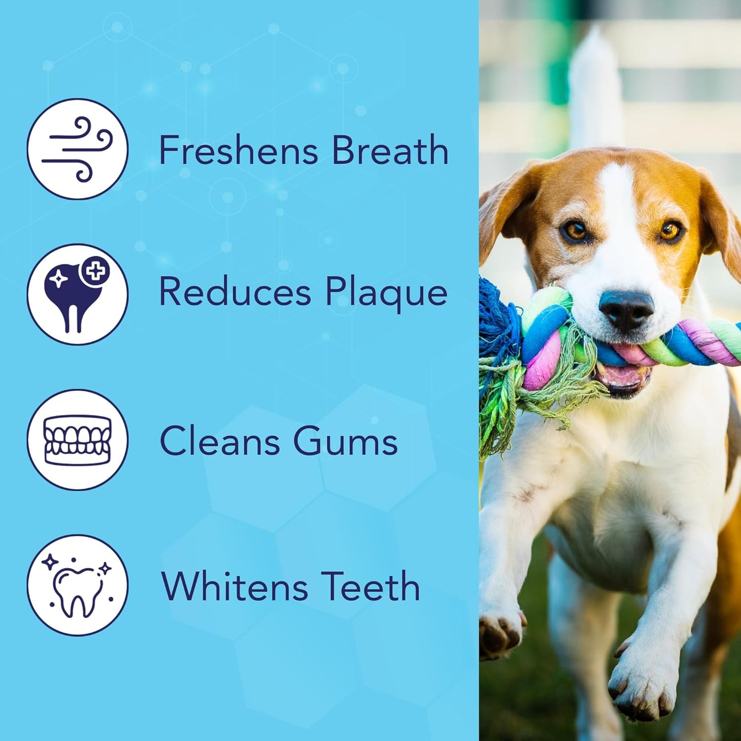 NOVEHA Pets Dental Finger Wipes for Dogs & Cats (50 pcs, Flavor-Free)