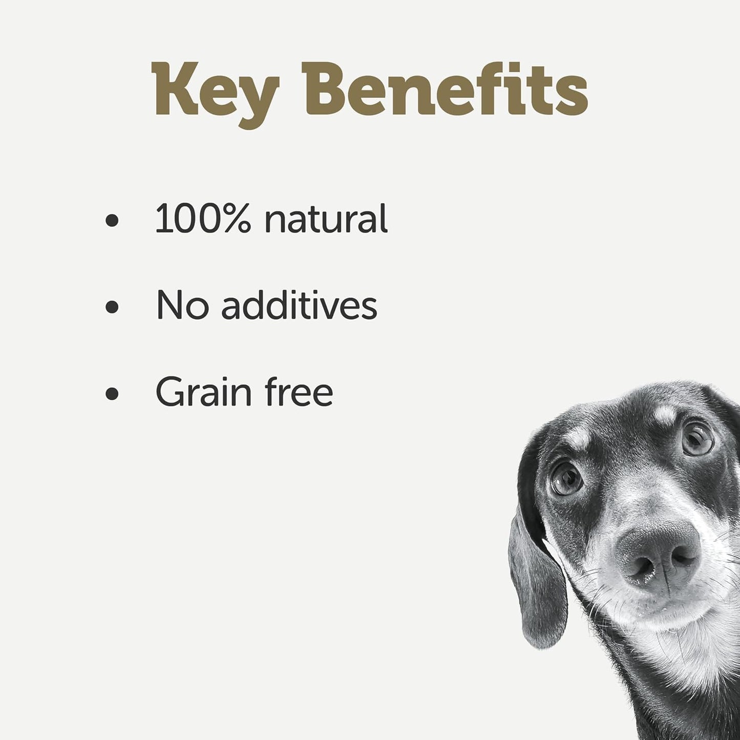 Applaws Taste Toppers 100% Natural Wet Dog Food Chicken Breast with Lamb in Gravy Tin 156g (Pack of 16), Limited Ingredients Pet Food
