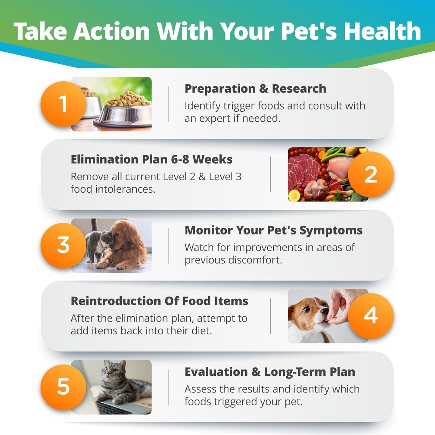 5Strands Pet Raw Food Intolerance & Environmental Sensitivity Test, at Home Test for Dogs & Cats,Results in 7 Days