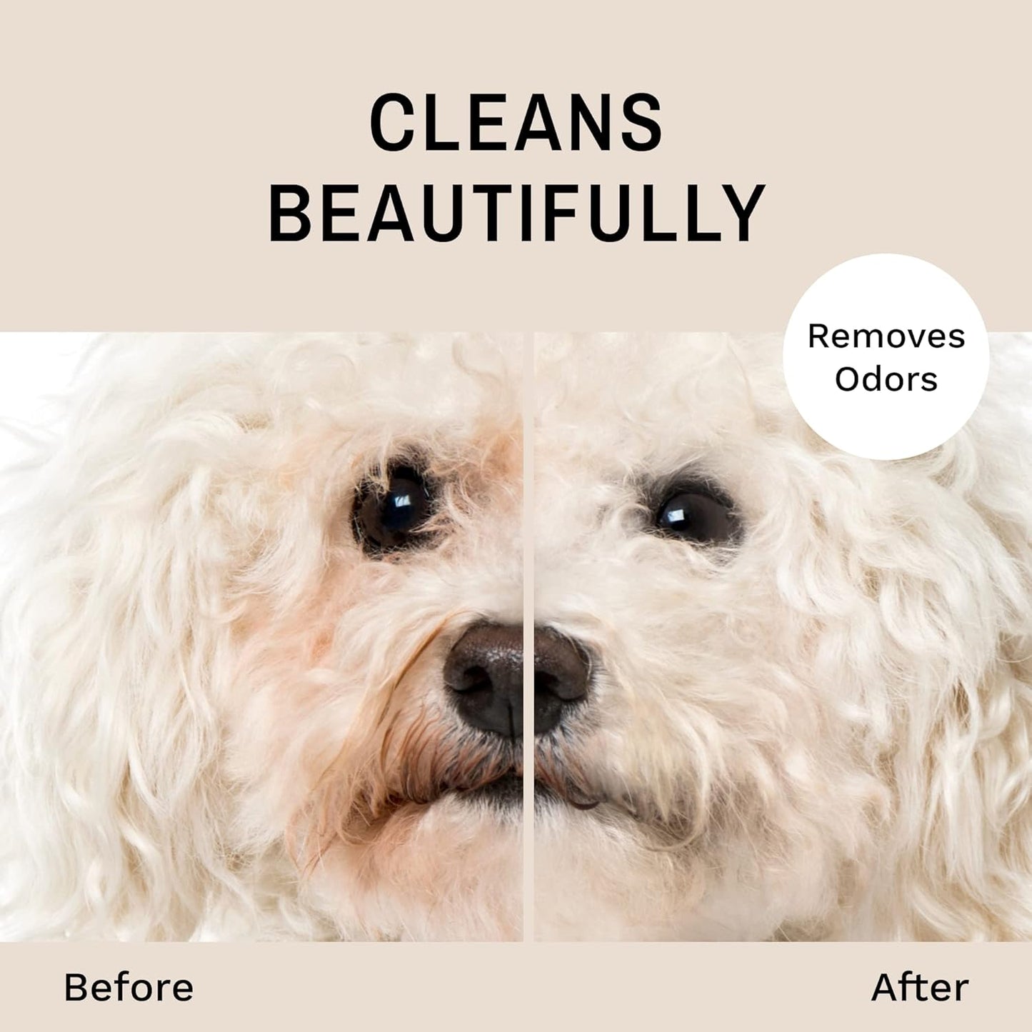 Eye Envy Tear Stain Facial Cleanser for Dogs and Cats (8.45 Fl Oz)