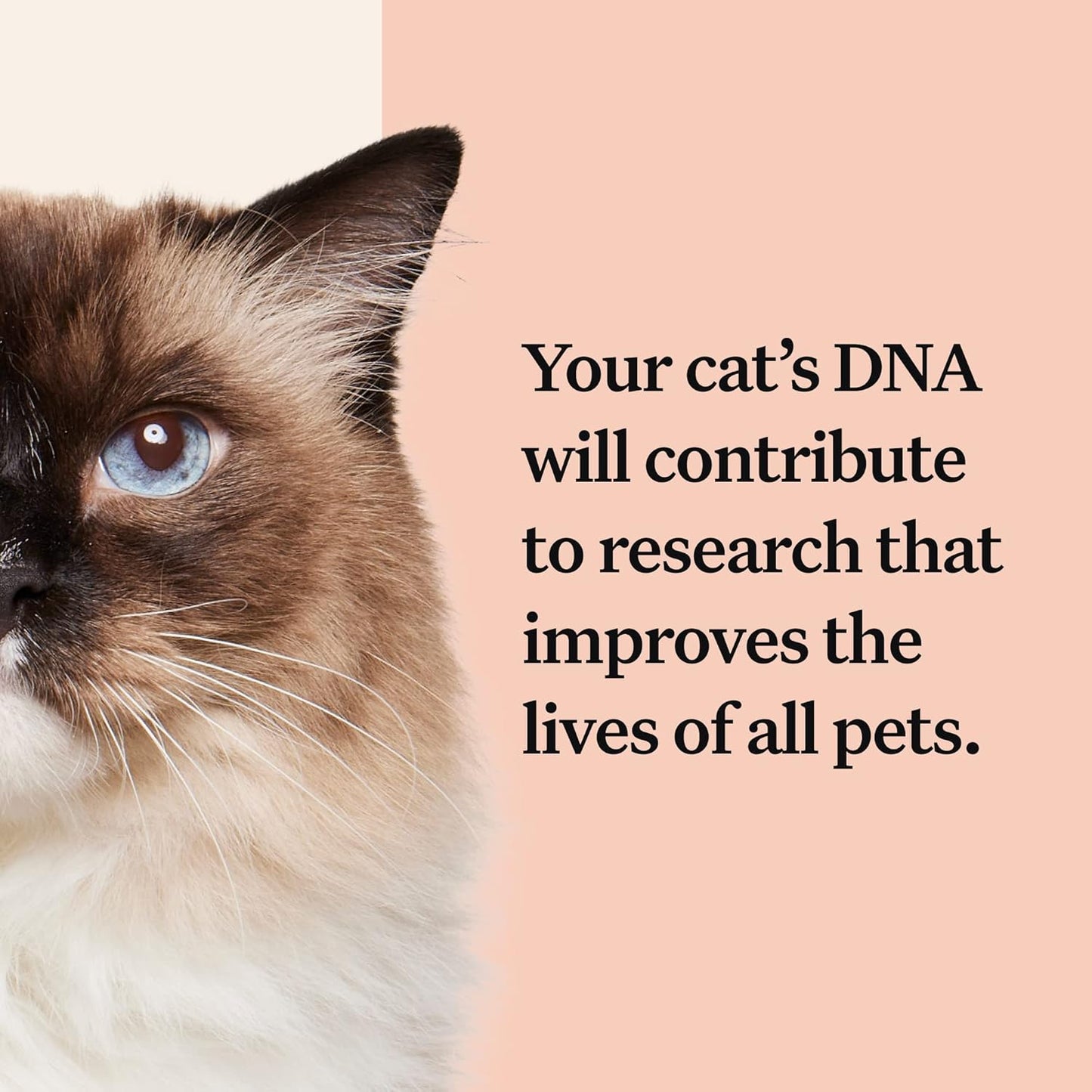 Wisdom Panel Complete: Comprehensive Cat DNA Test
