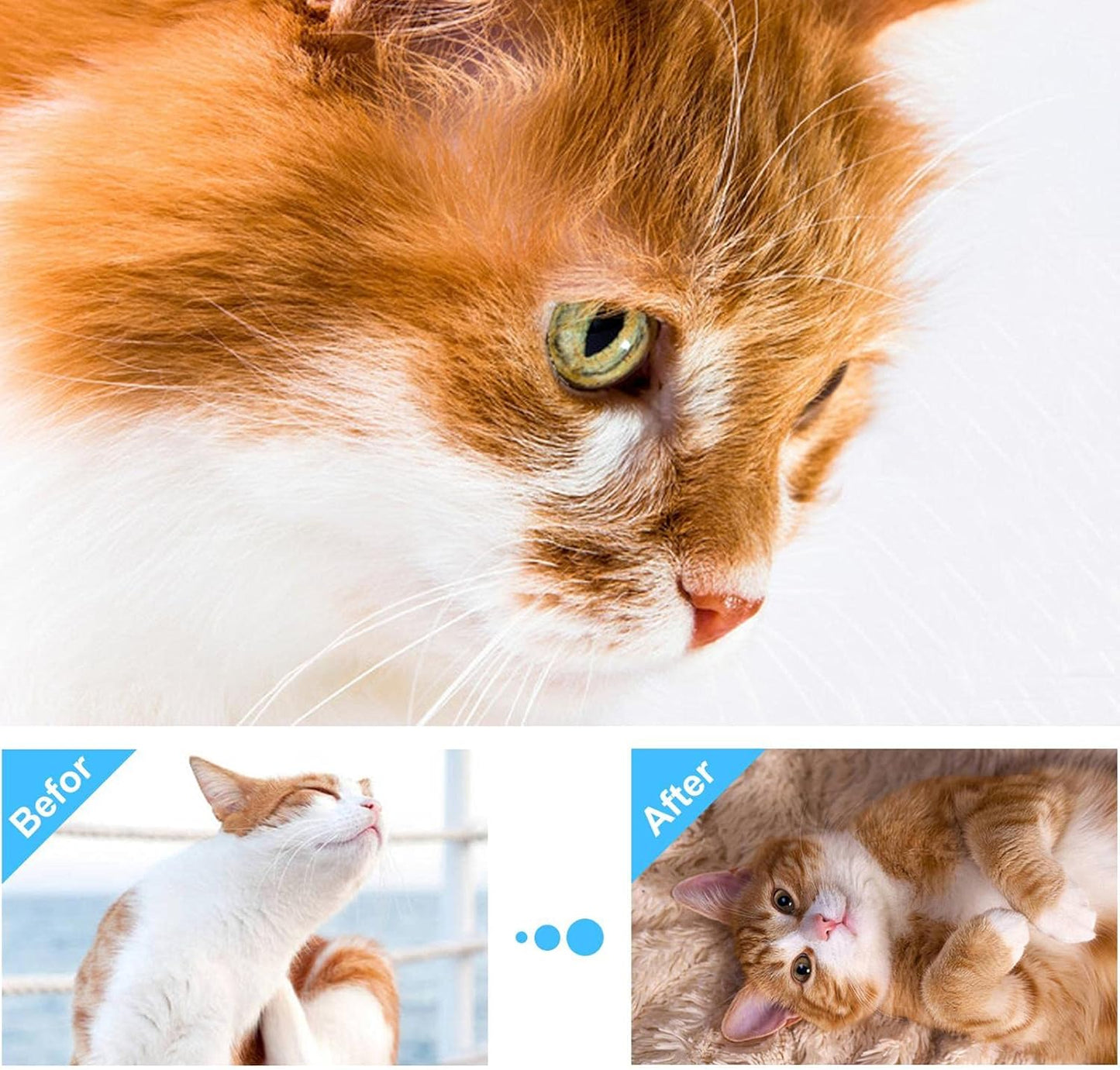 Cat Calming Pheromone Spray (60ML)