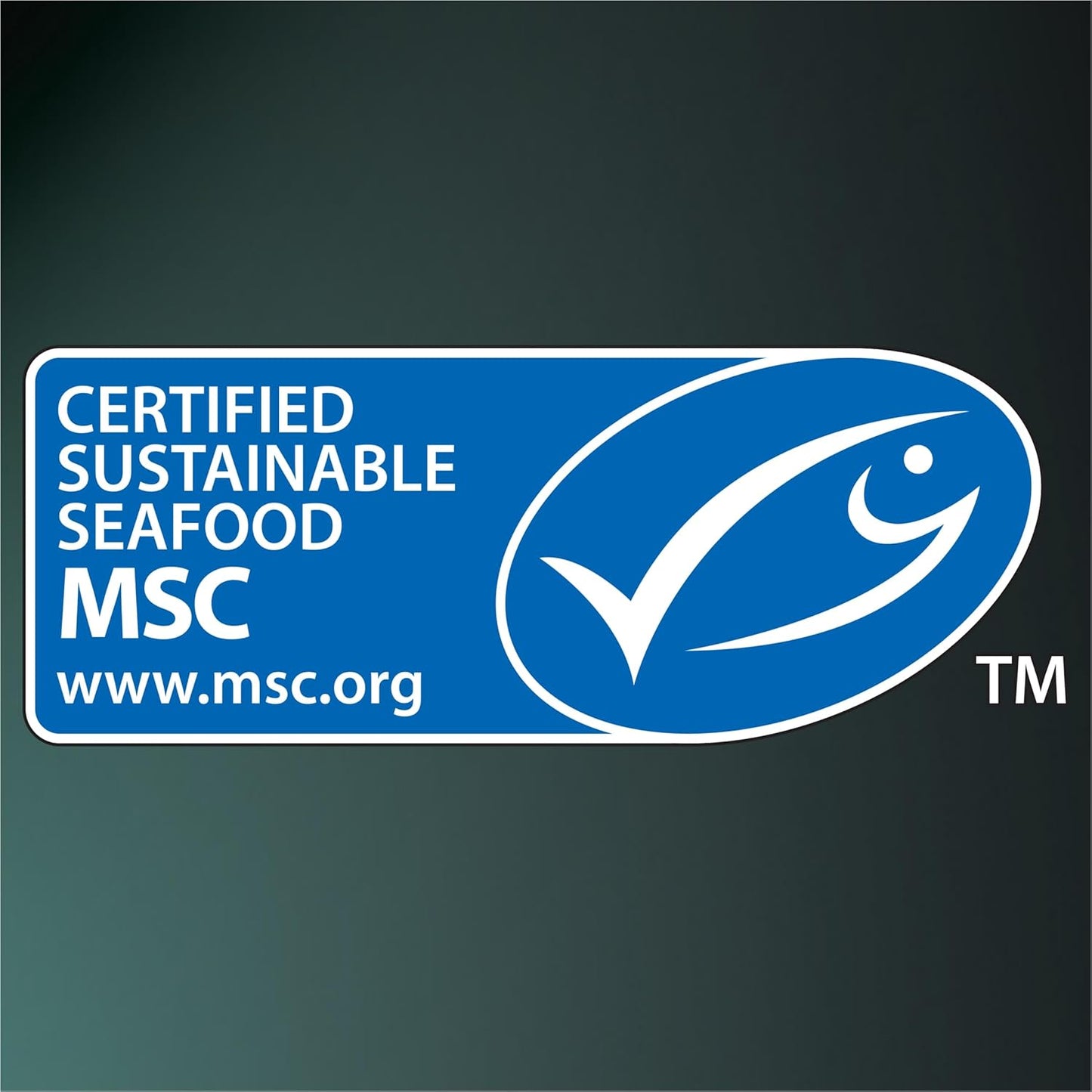 DINE Filets Wet Cat Food with Sustainable Tuna 16 x 60g Trays