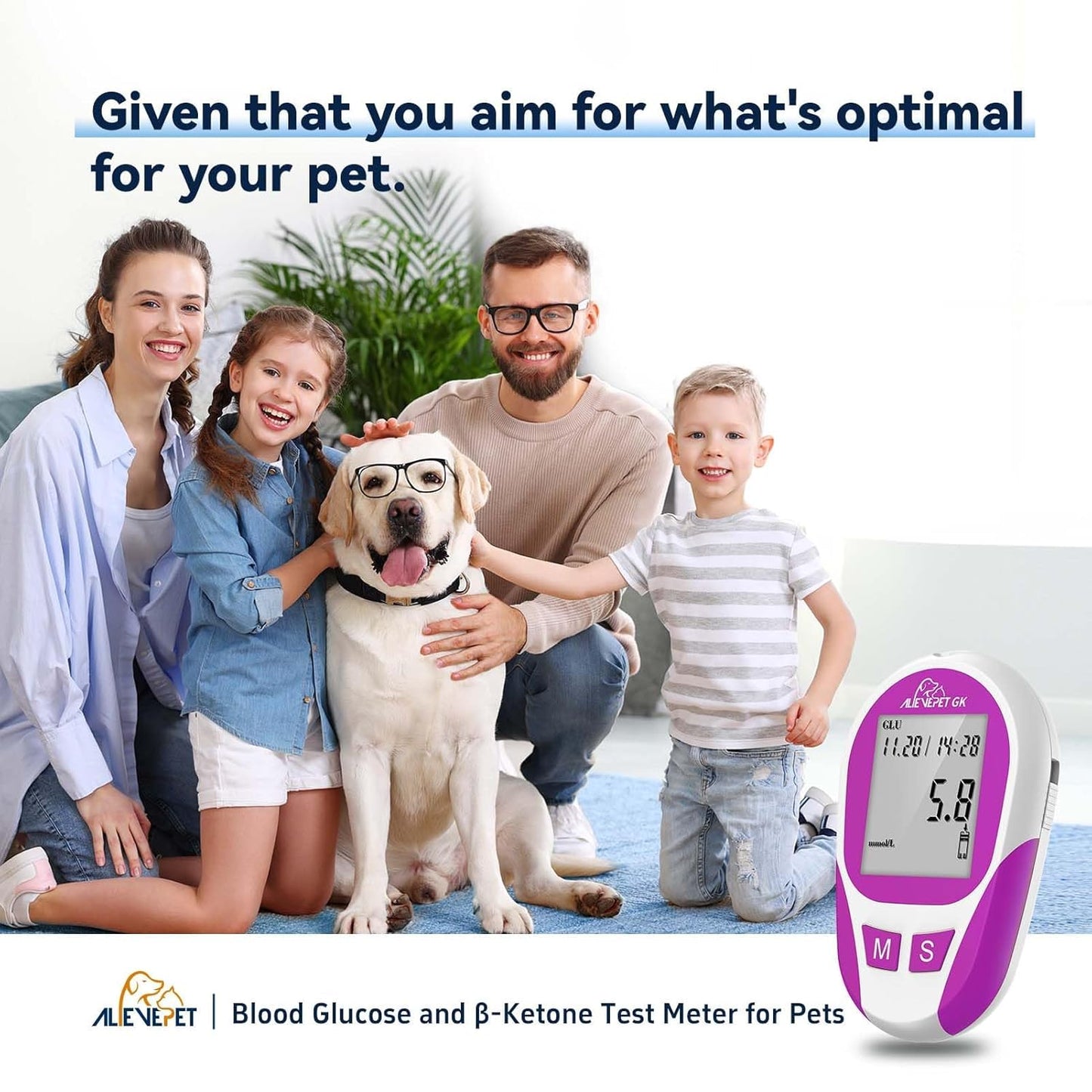 Glucose Monitoring Kit Diabetes Testing Kit for Cats